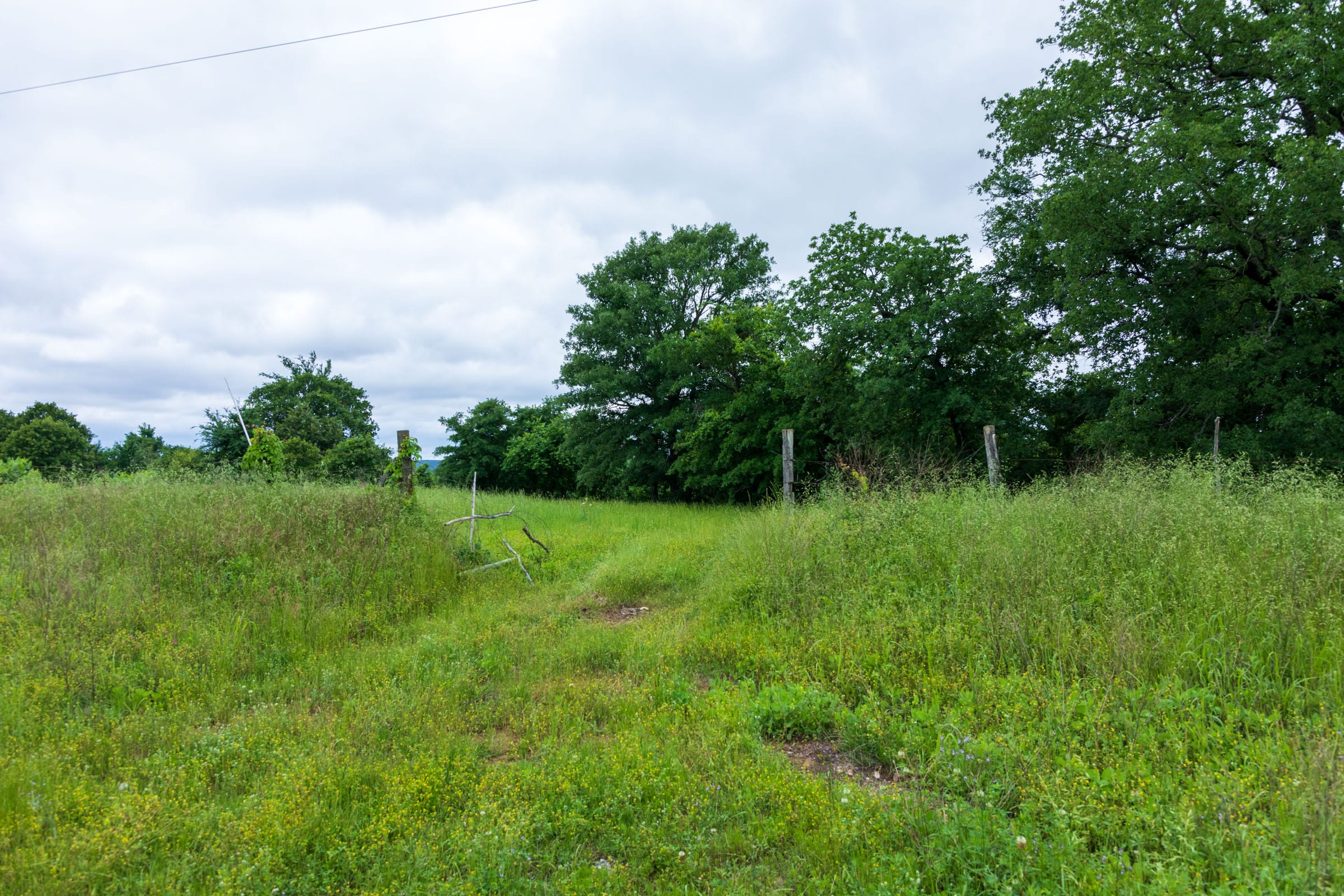 Falcon Crest Tract 11 photo 7