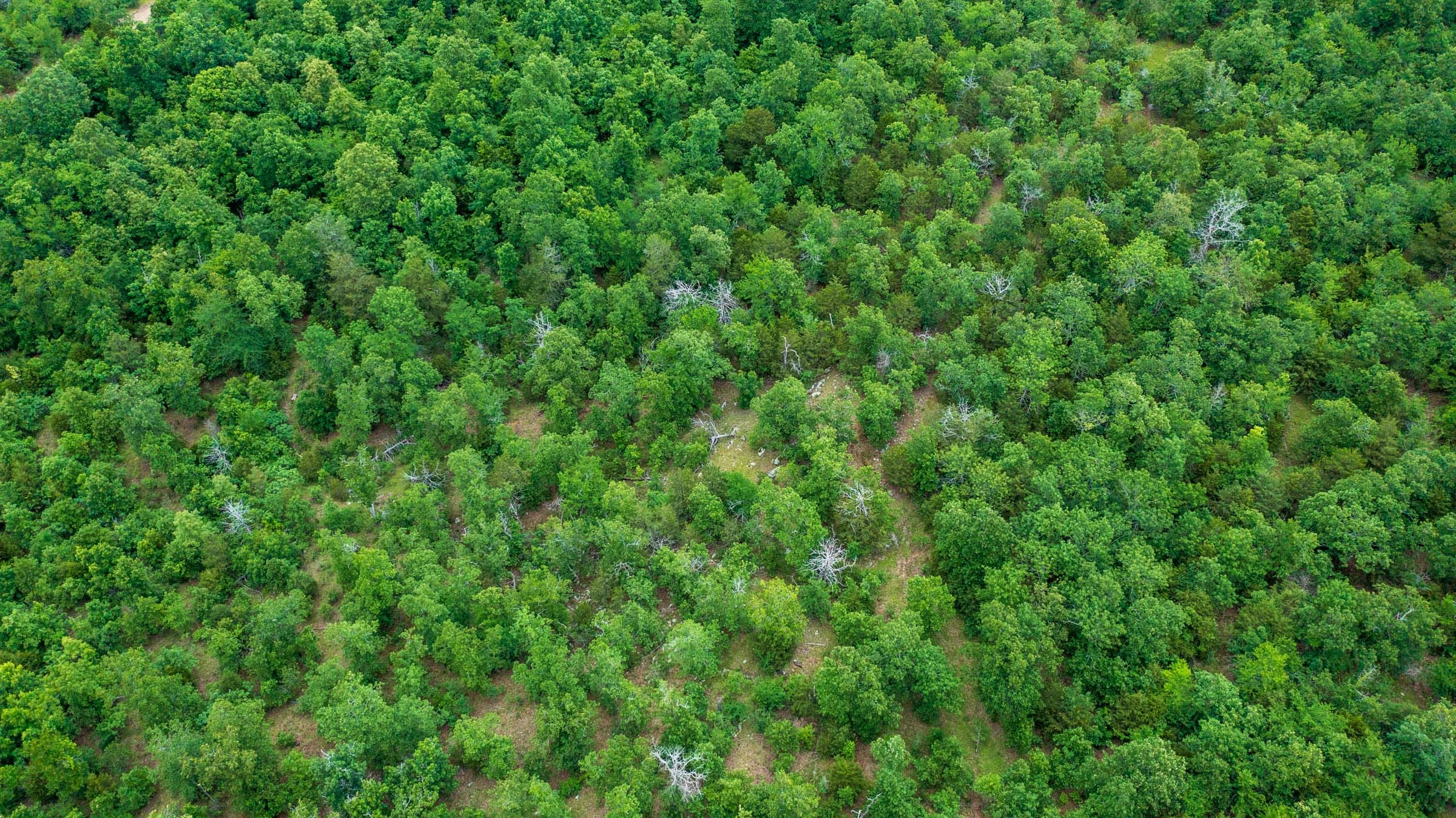 Falcon Crest Tract 11 photo 9