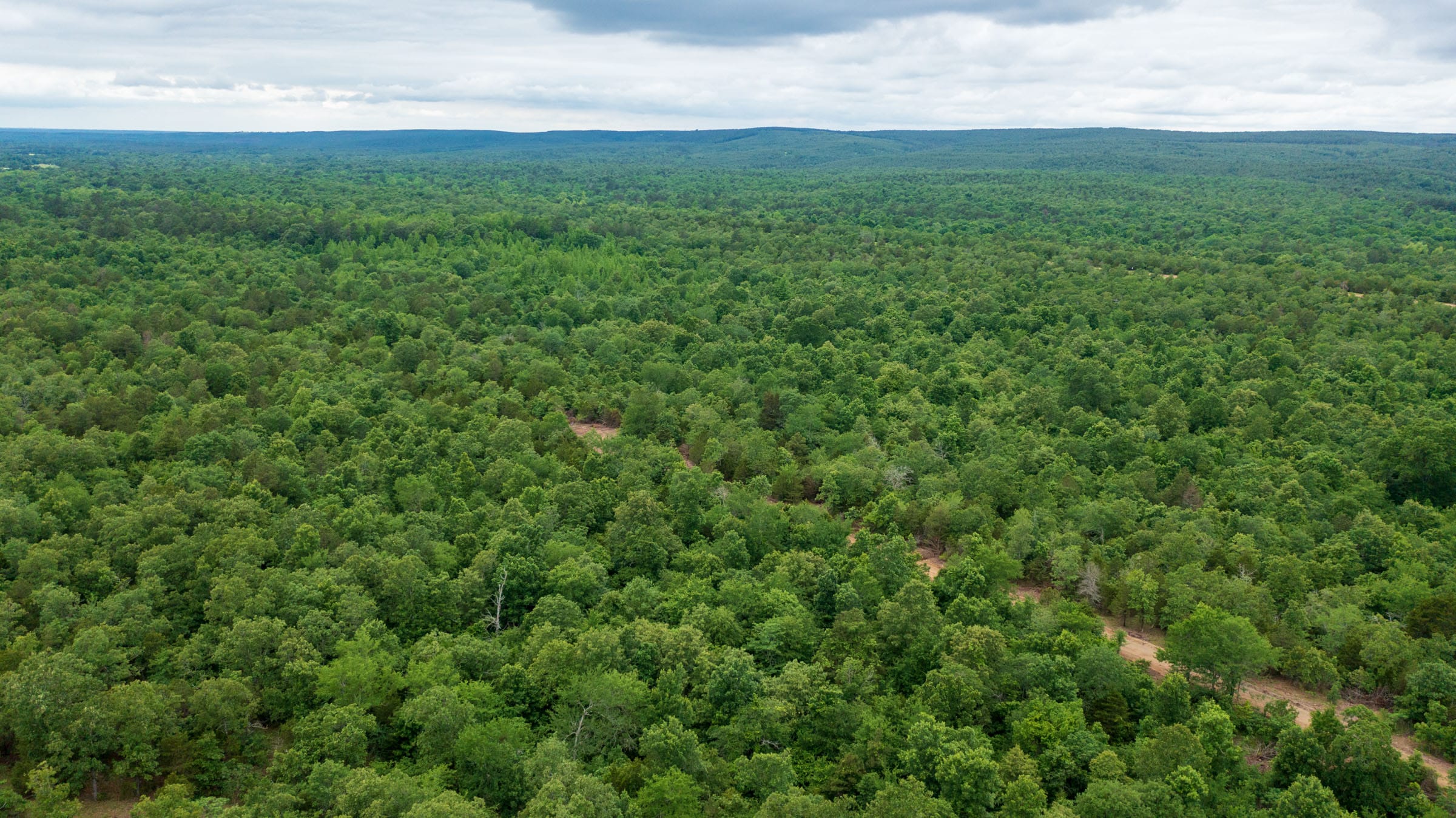 Falcon Crest Tract 11 photo 11