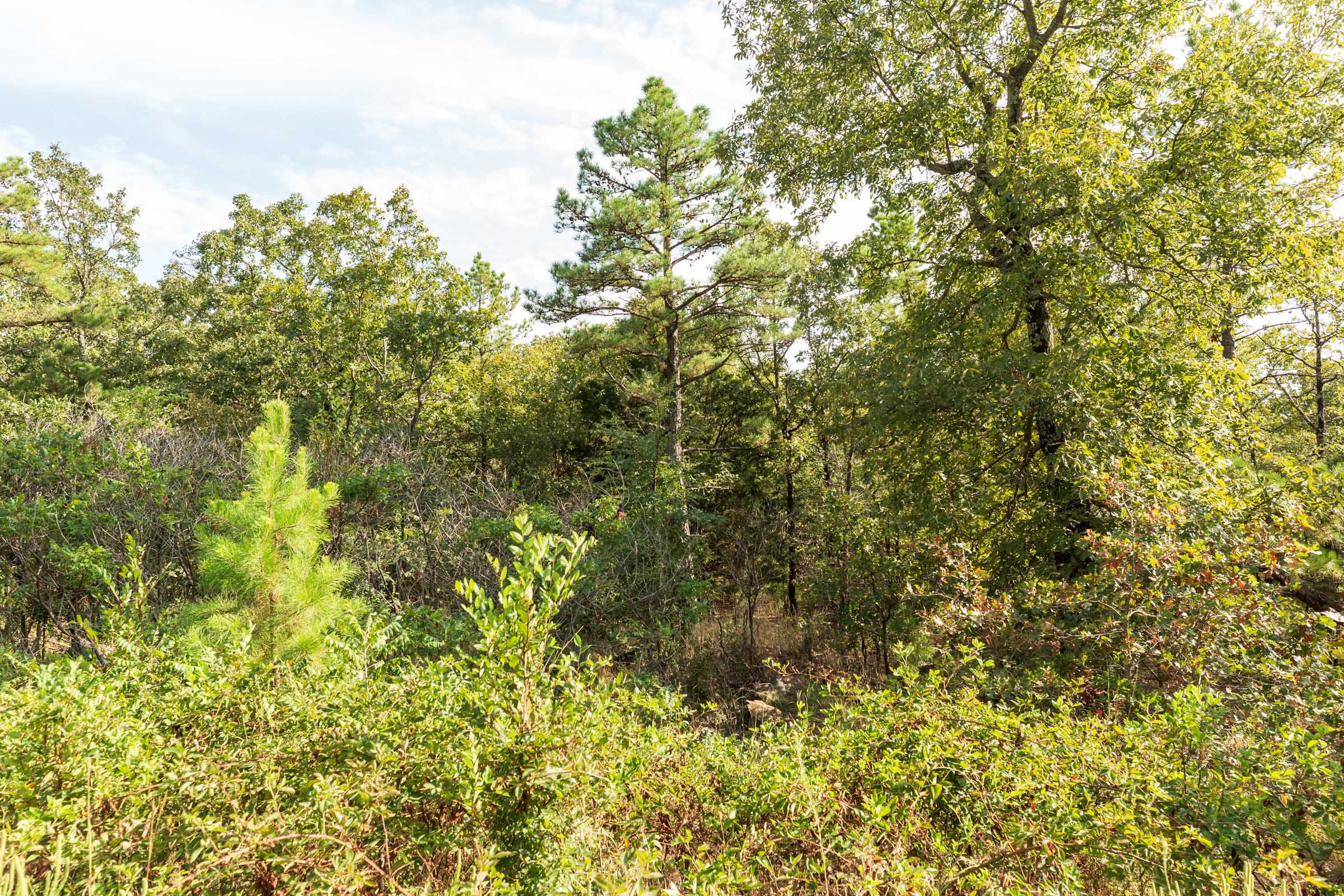 Stone Bridge Phase V Tract 374 photo 2