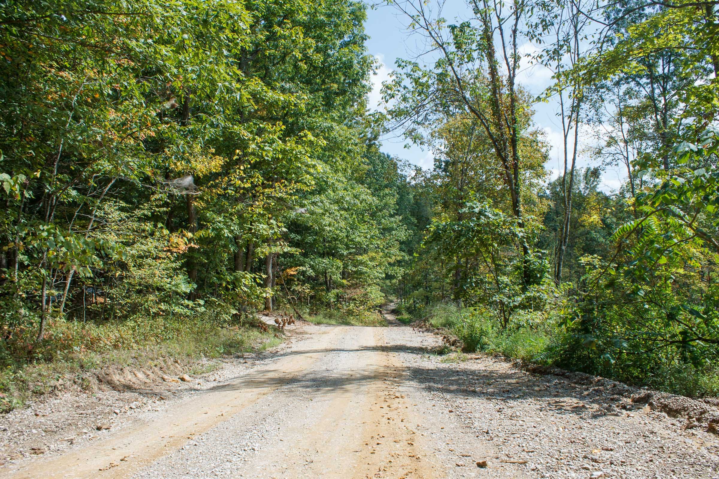 Wounded Oak Tract 19 photo 1