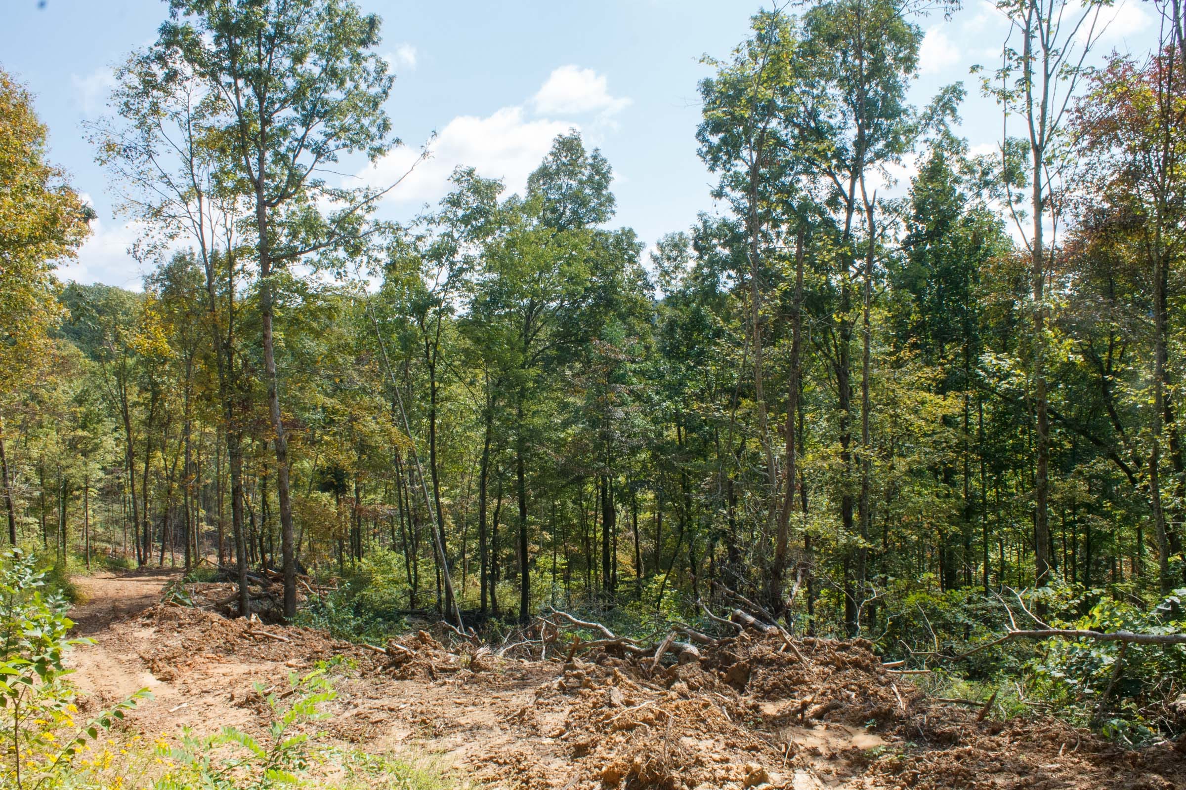 Wounded Oak Tract 19 photo 2