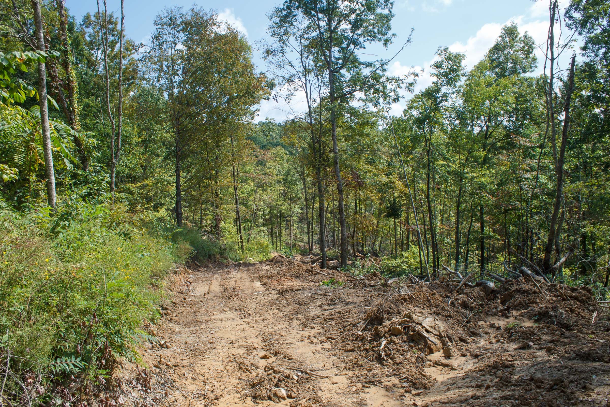 Wounded Oak Tract 19 photo 3