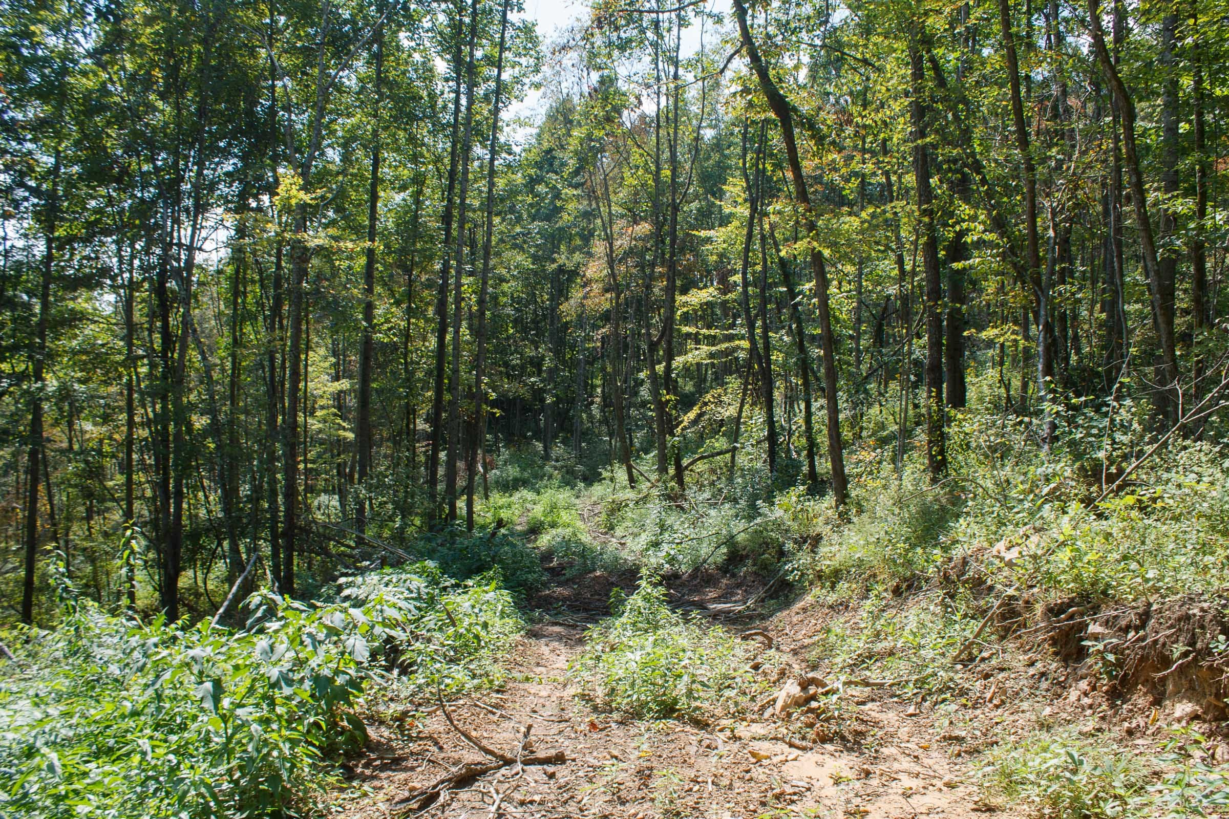 Wounded Oak Tract 19 photo 7