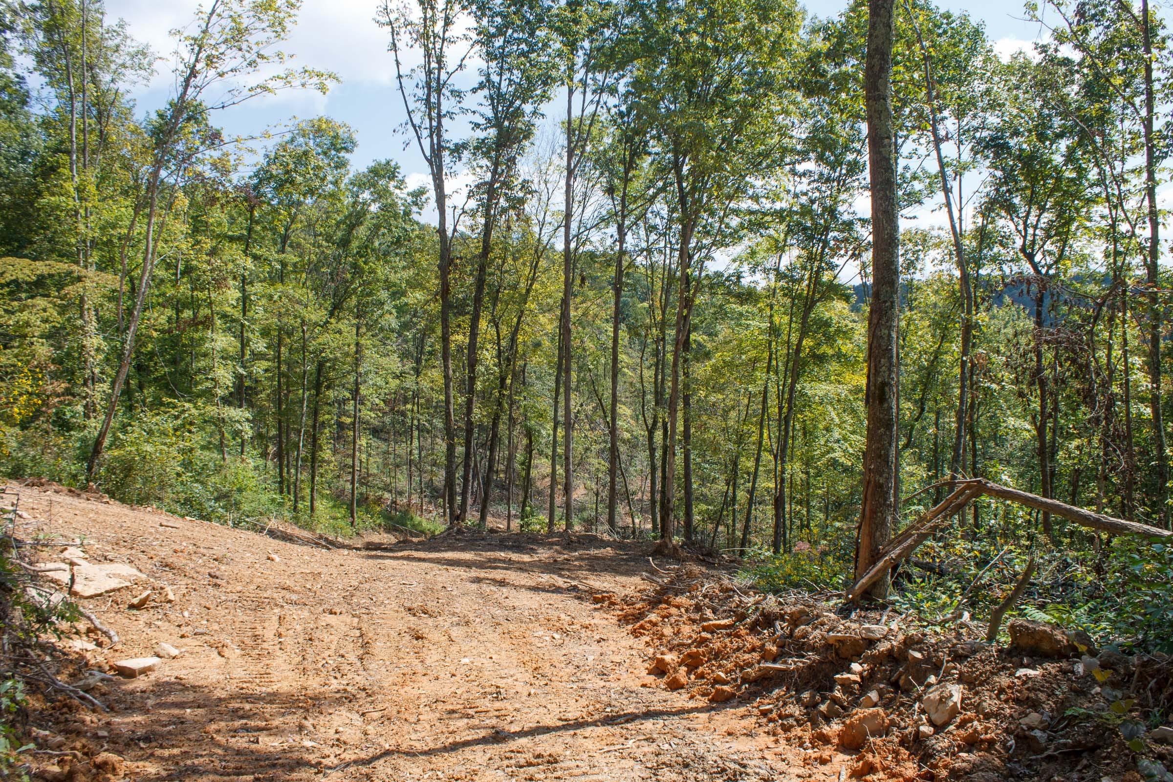 Wounded Oak Tract 19 photo 18