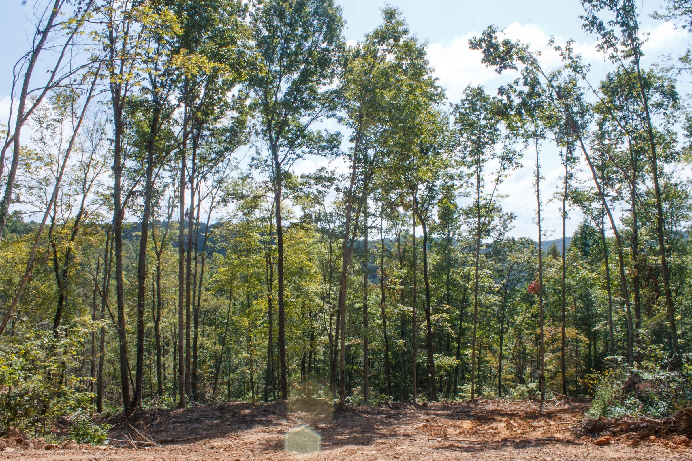 Wounded Oak Tract 19 photo 19