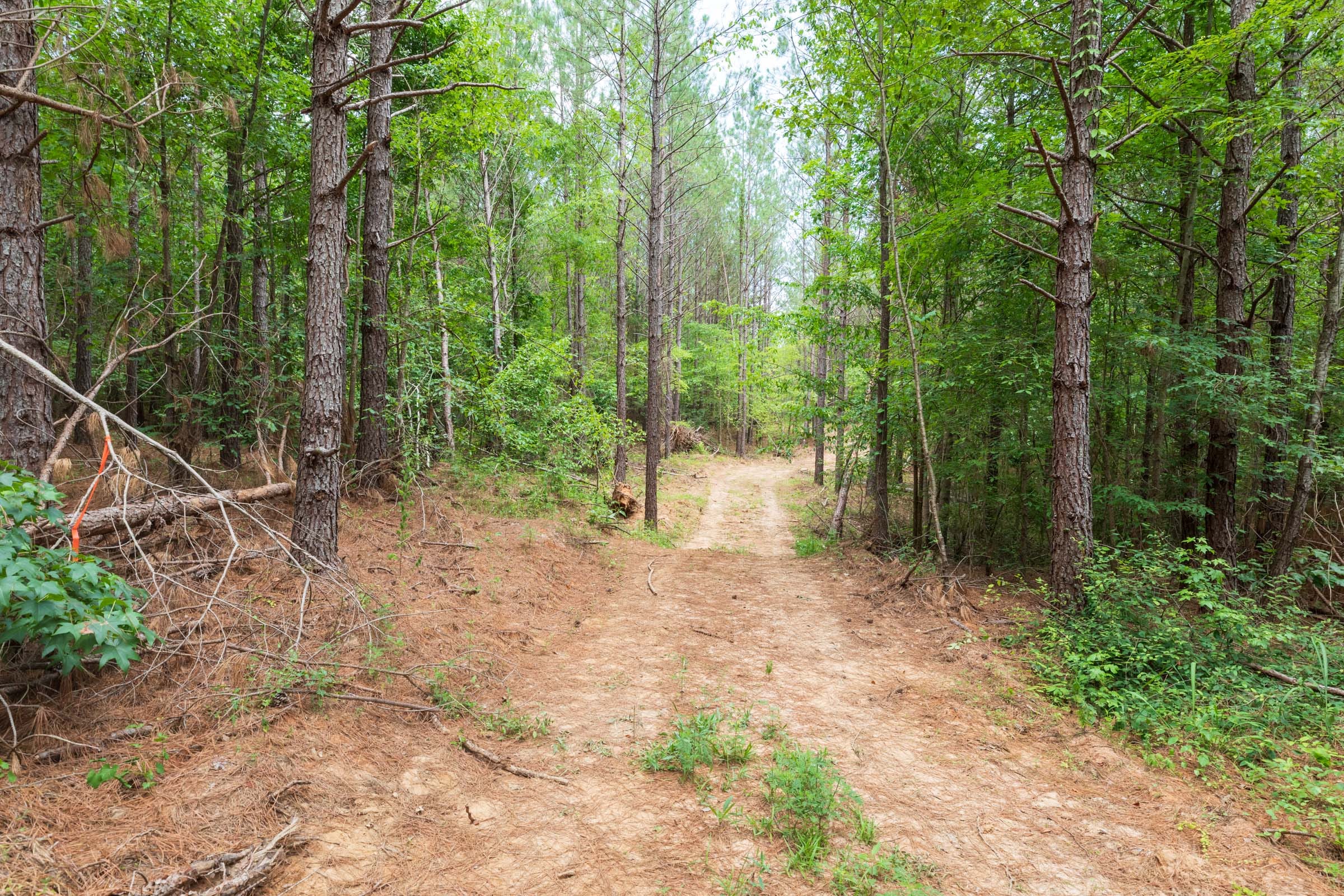 Whiskey Ridge Tract 21 photo 5