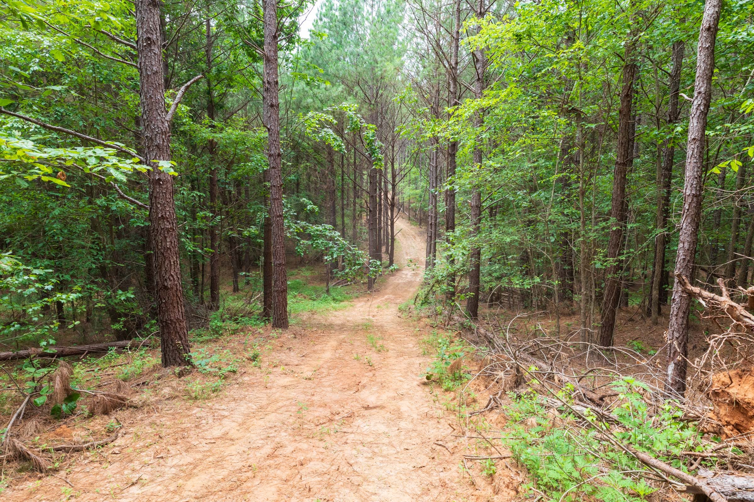 Whiskey Ridge Tract 21 photo 1