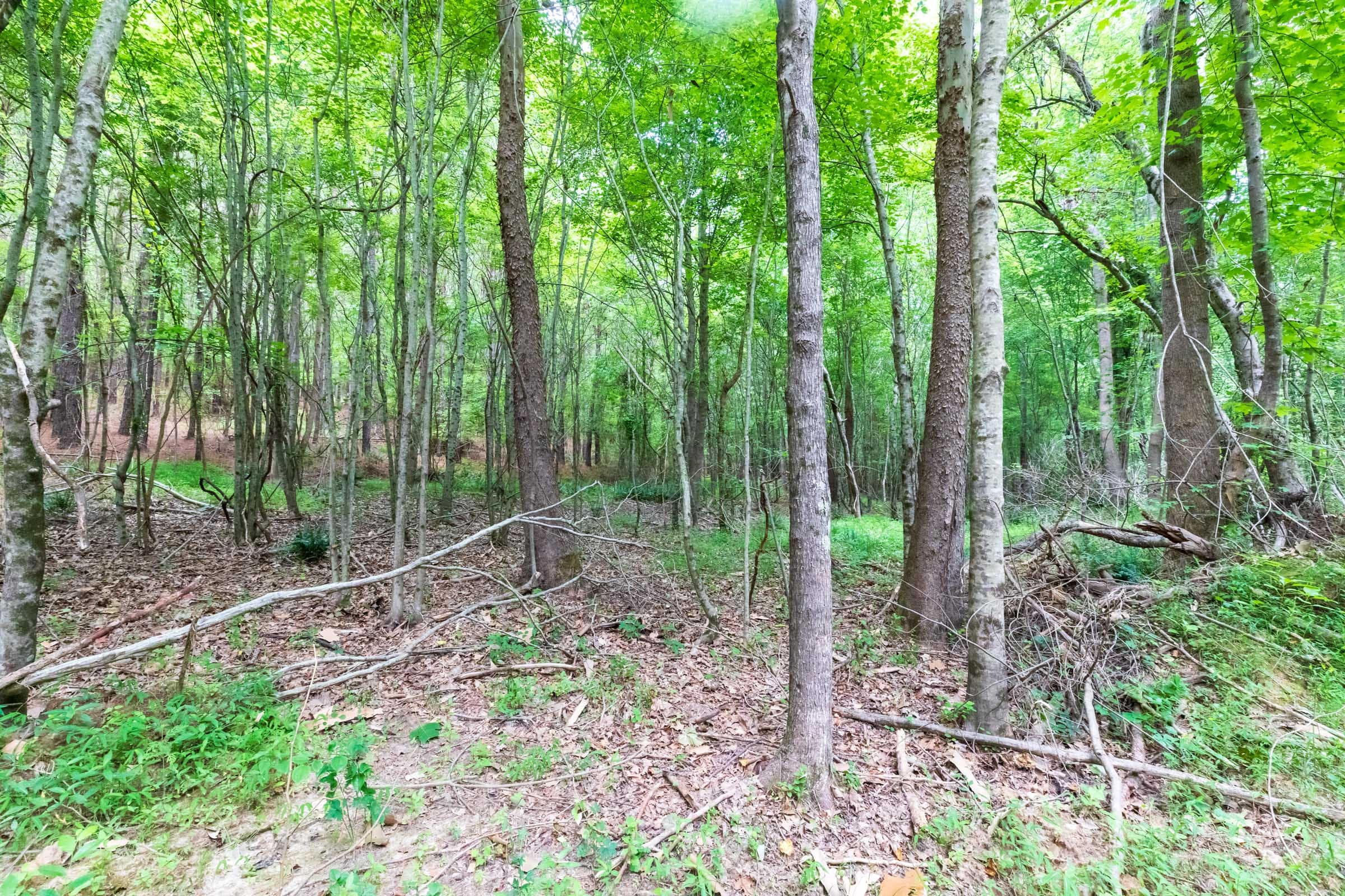 Whiskey Ridge Tract 21 photo 11