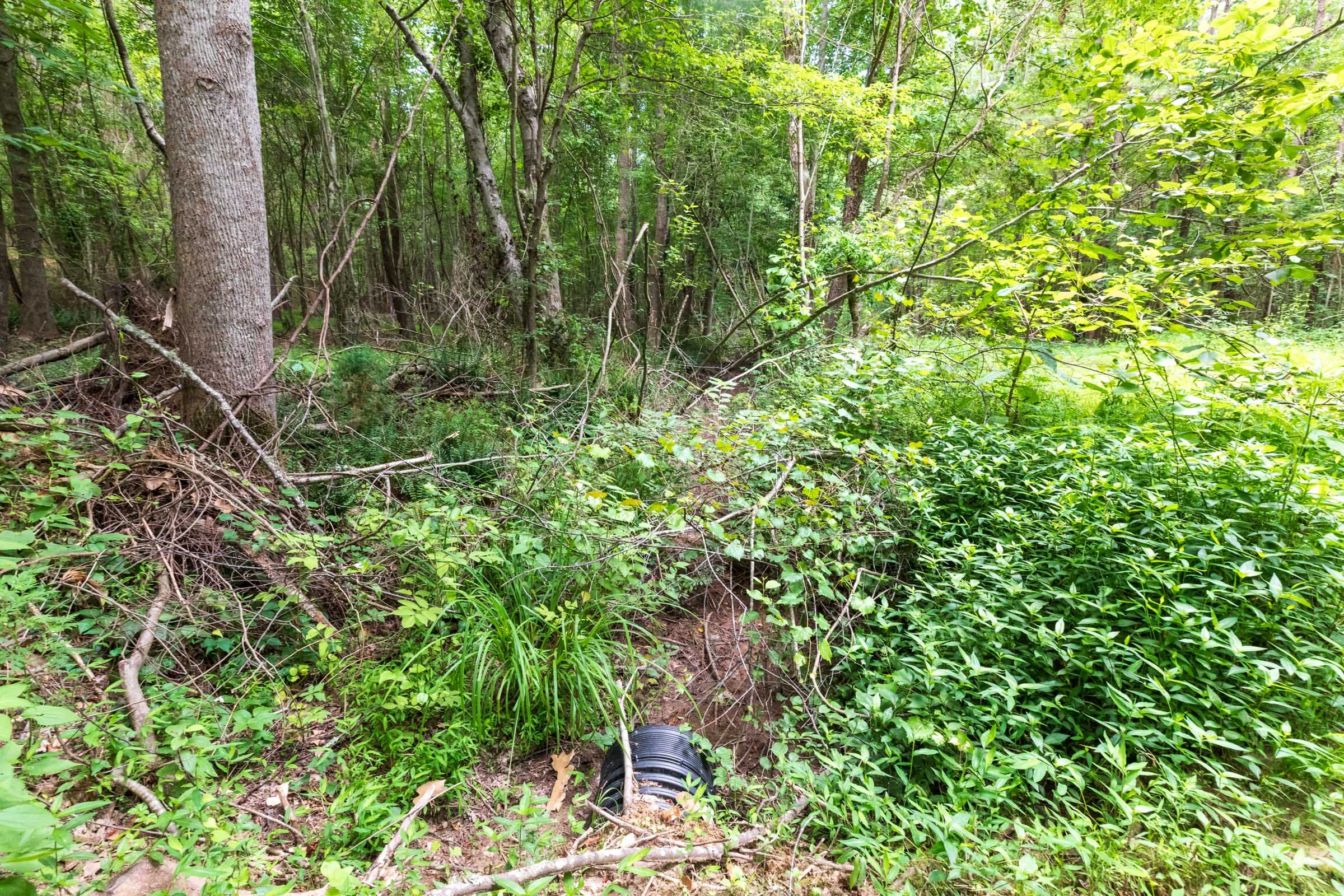Whiskey Ridge Tract 21 photo 13