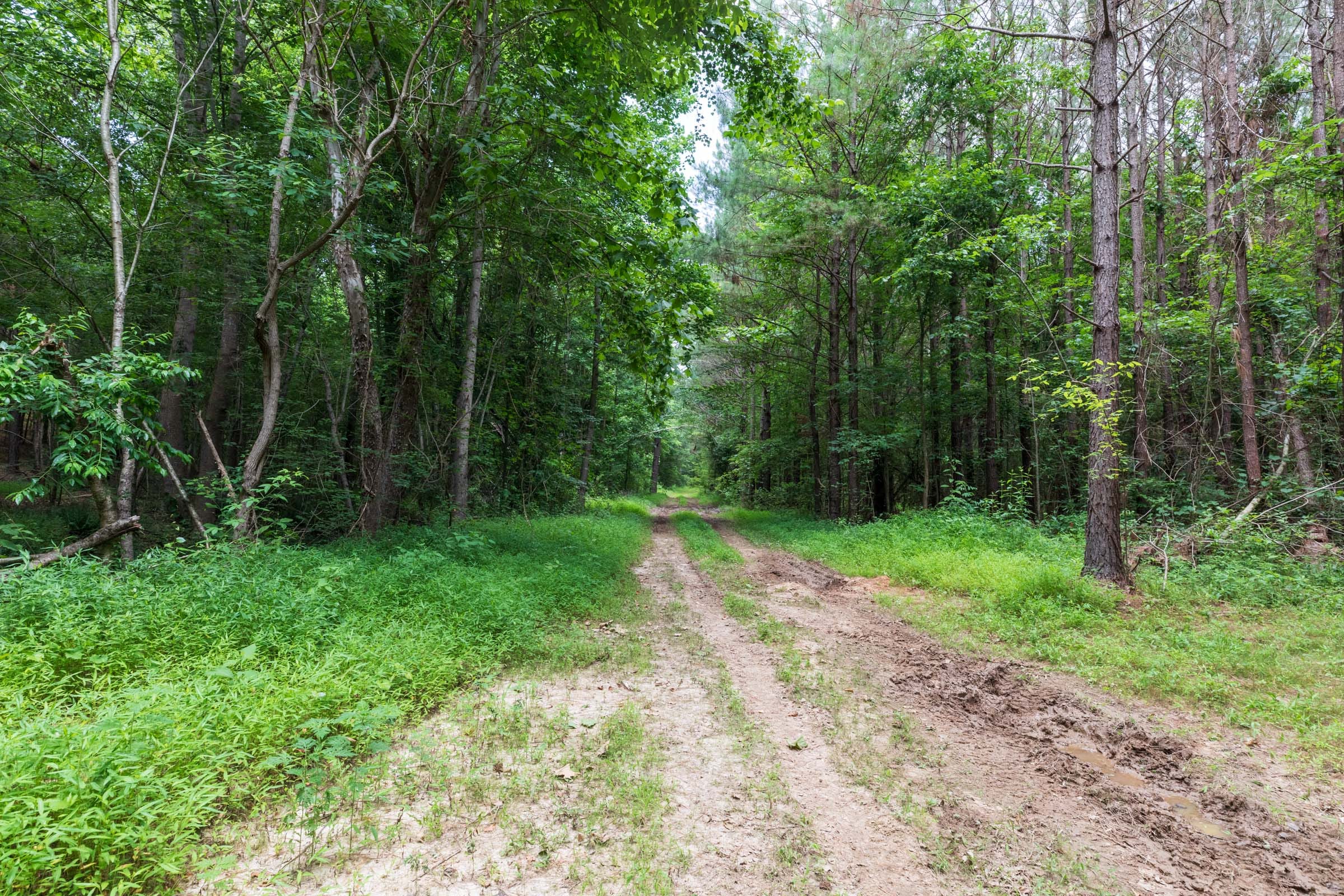Whiskey Ridge Tract 21 photo 10