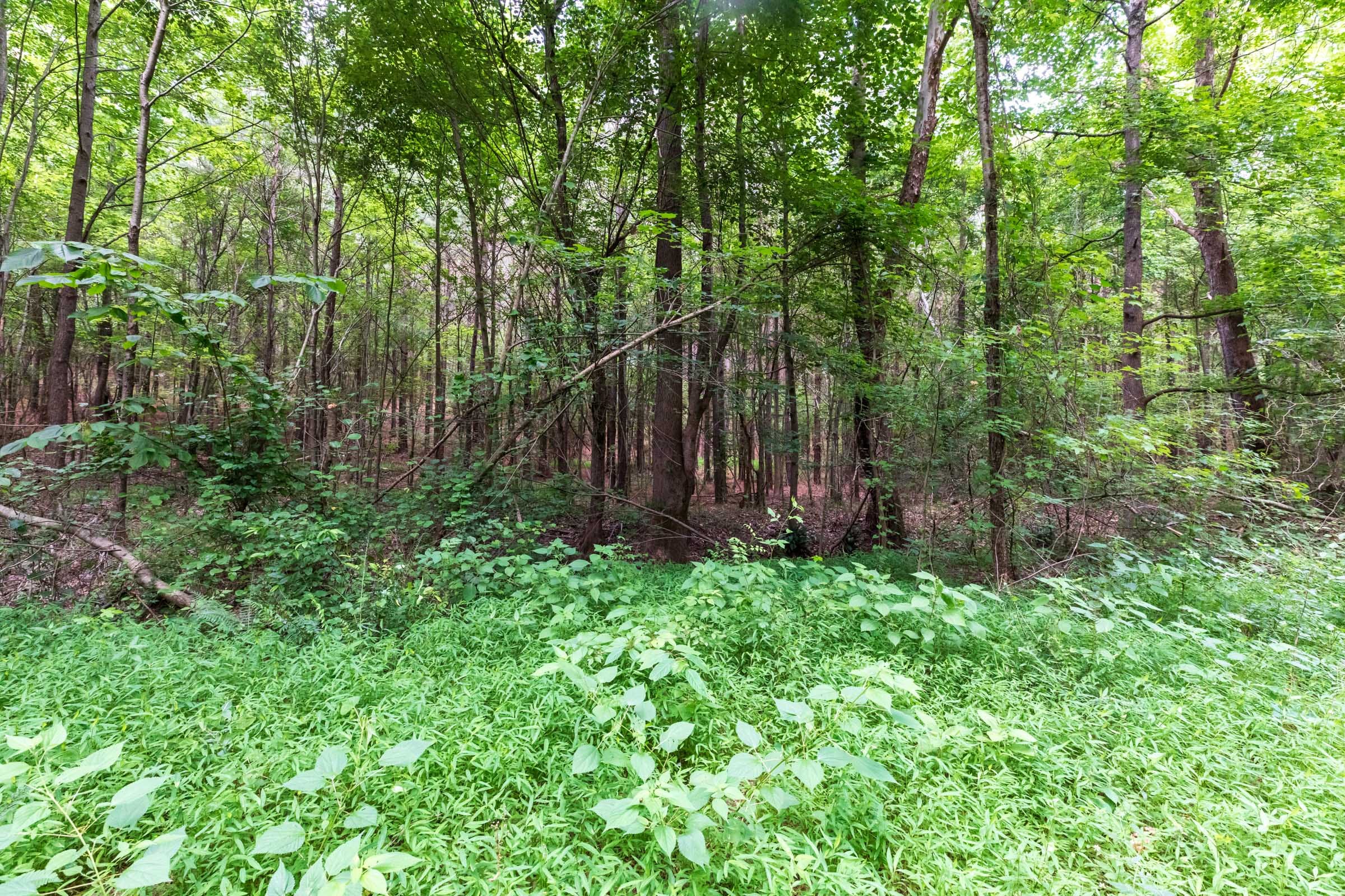 Whiskey Ridge Tract 21 photo 14