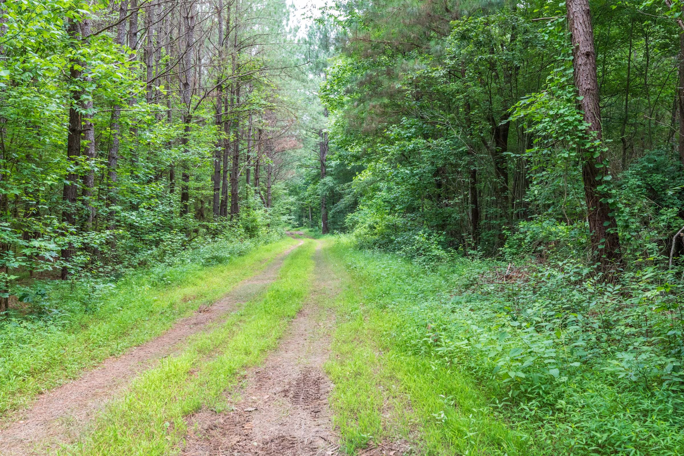 Whiskey Ridge Tract 21 photo 15