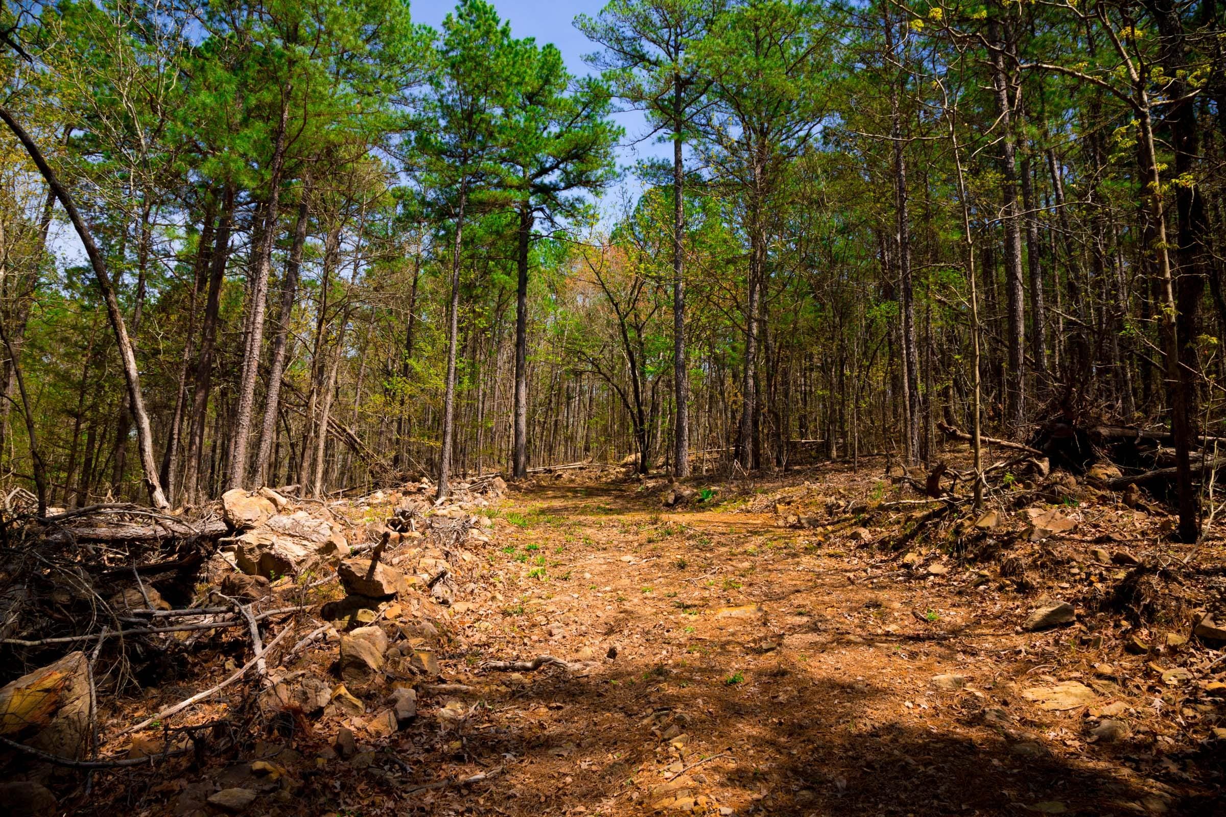 Stone Creek Phase II Tract 190 photo 2