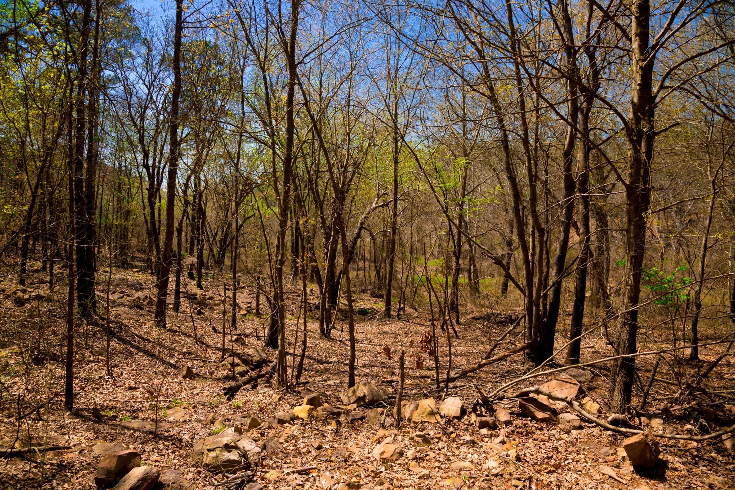 Stone Creek Phase II Tract 190 photo 7