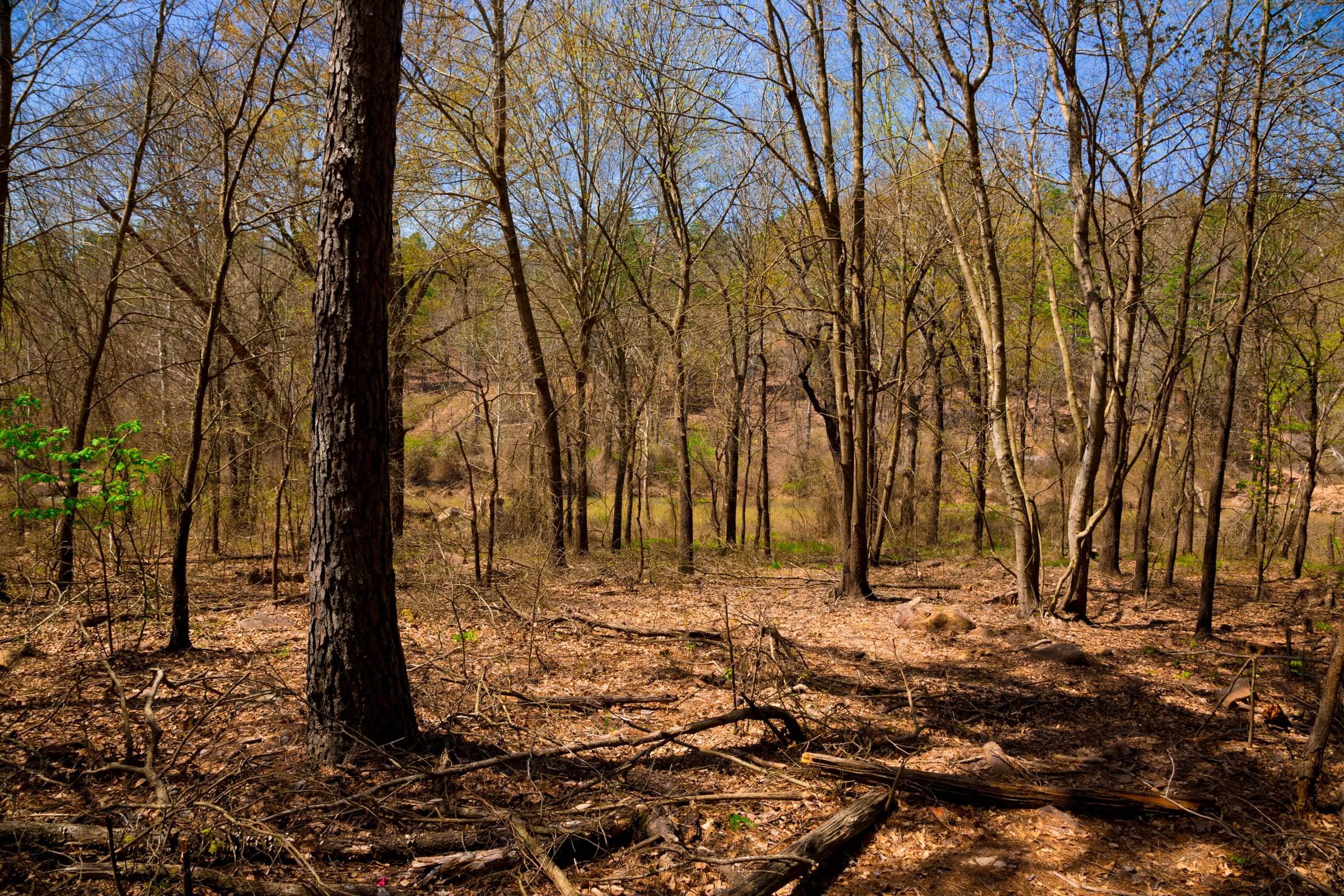 Stone Creek Phase II Tract 190 photo 8