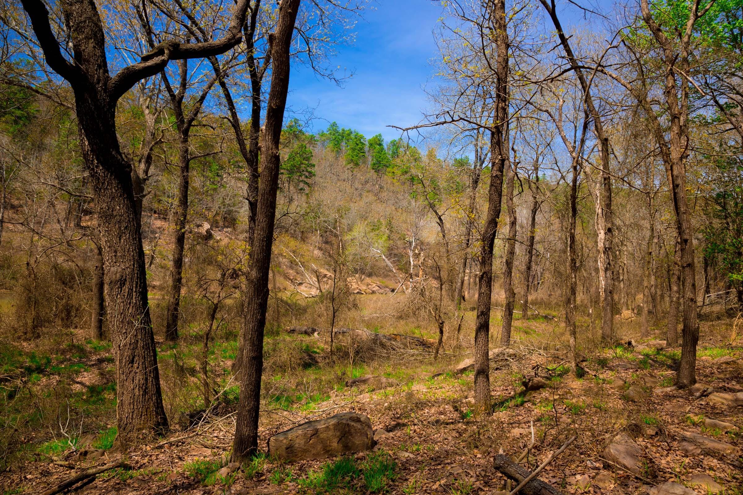 Stone Creek Phase II Tract 190 photo 9