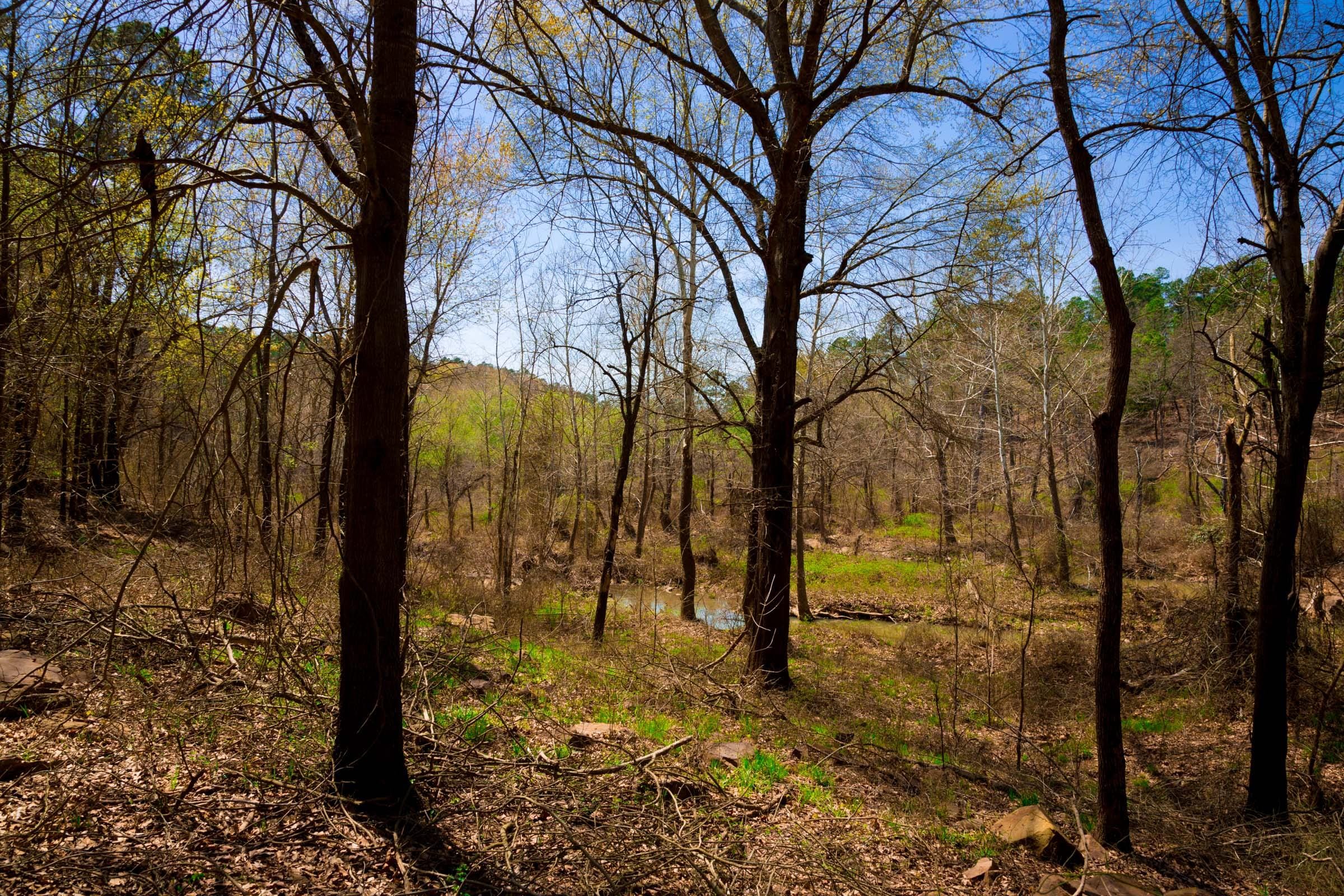 Stone Creek Phase II Tract 190 photo 10