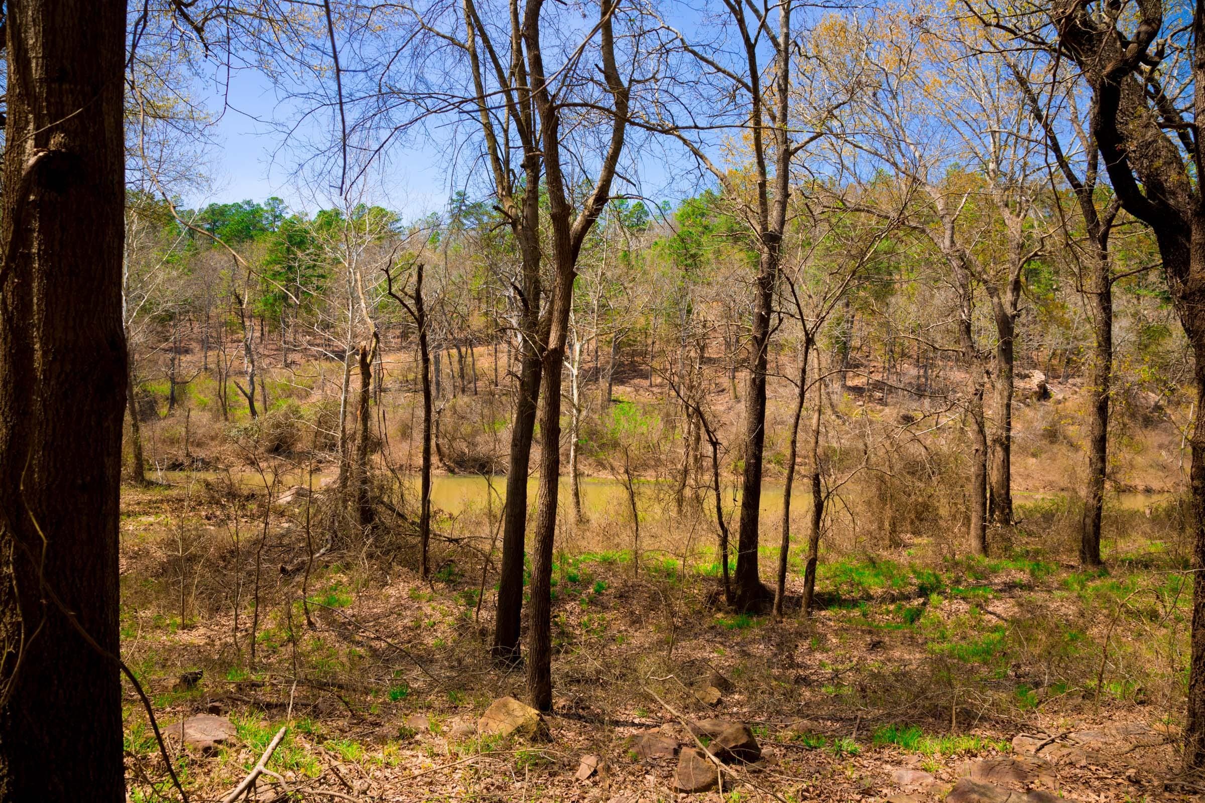 Stone Creek Phase II Tract 190 photo 11