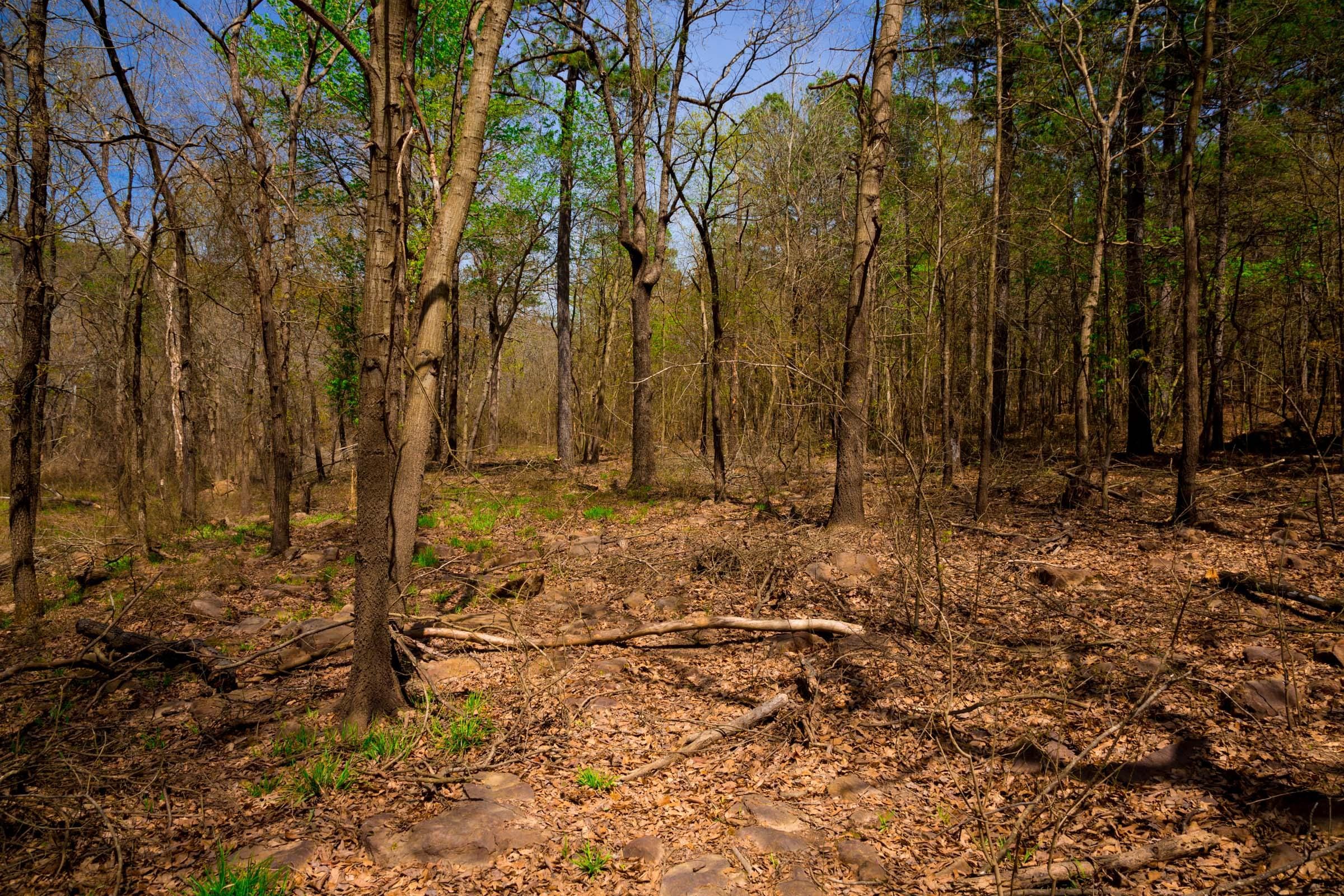 Stone Creek Phase II Tract 190 photo 12