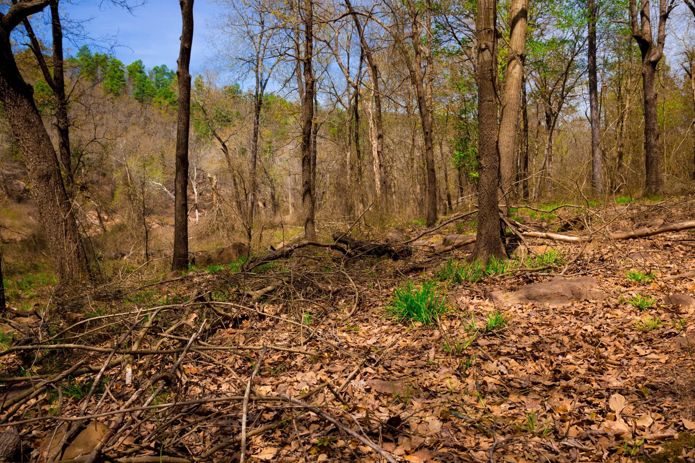 Stone Creek Phase II Tract 190 photo 13