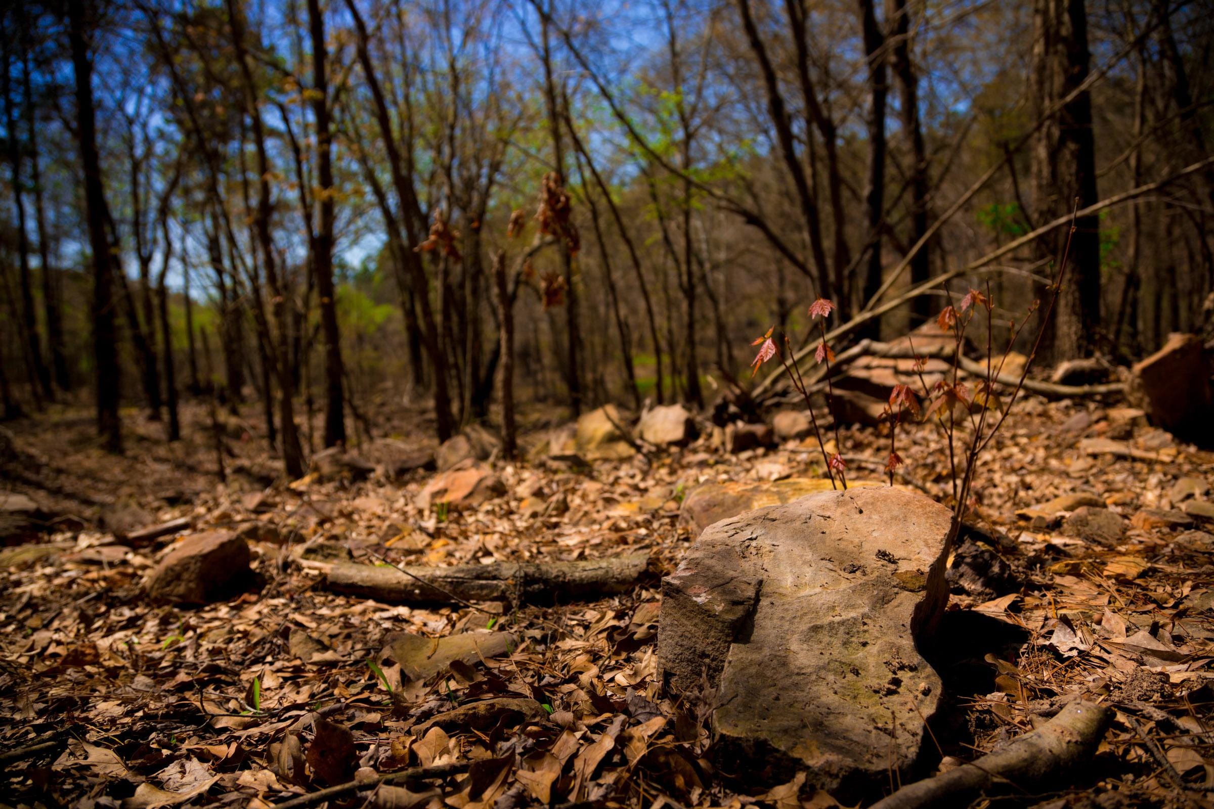 Stone Creek Phase II Tract 190 photo 14