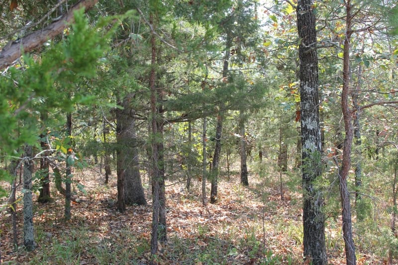 Lake View Ranch Tract 2 photo 1