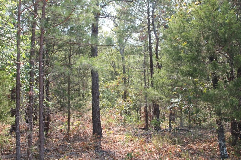 Lake View Ranch Tract 2 photo 2