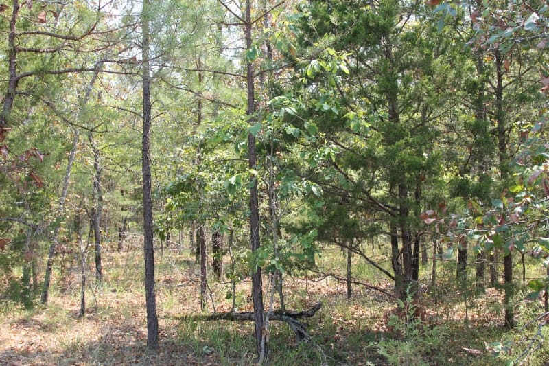 Lake View Ranch Tract 2 photo 5