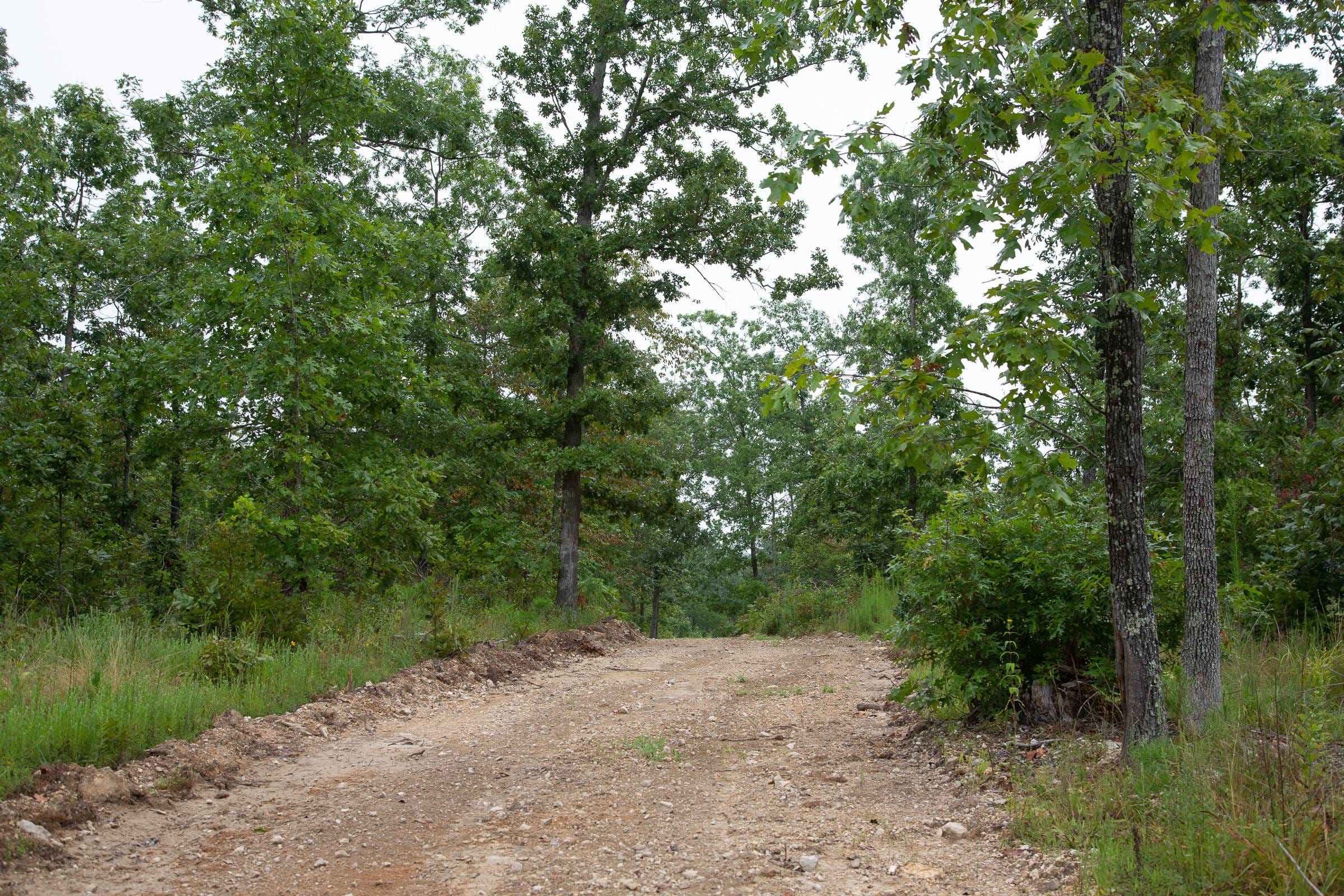 Borgmann’s Hollow Phase II Tract 37 photo 1