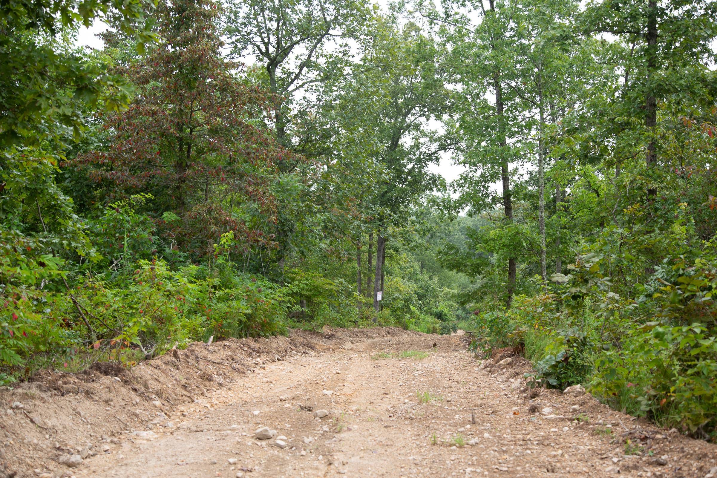 Borgmann’s Hollow Phase II Tract 37 photo 6