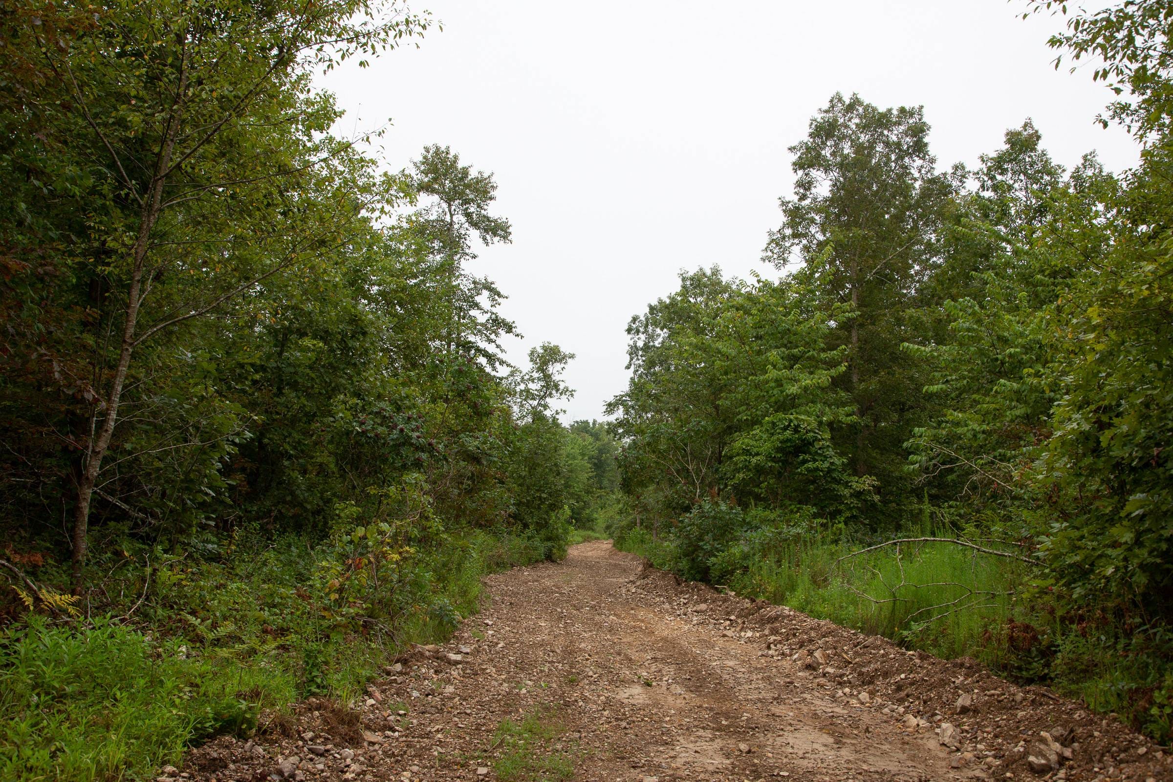 Borgmann’s Hollow Phase II Tract 37 photo 10