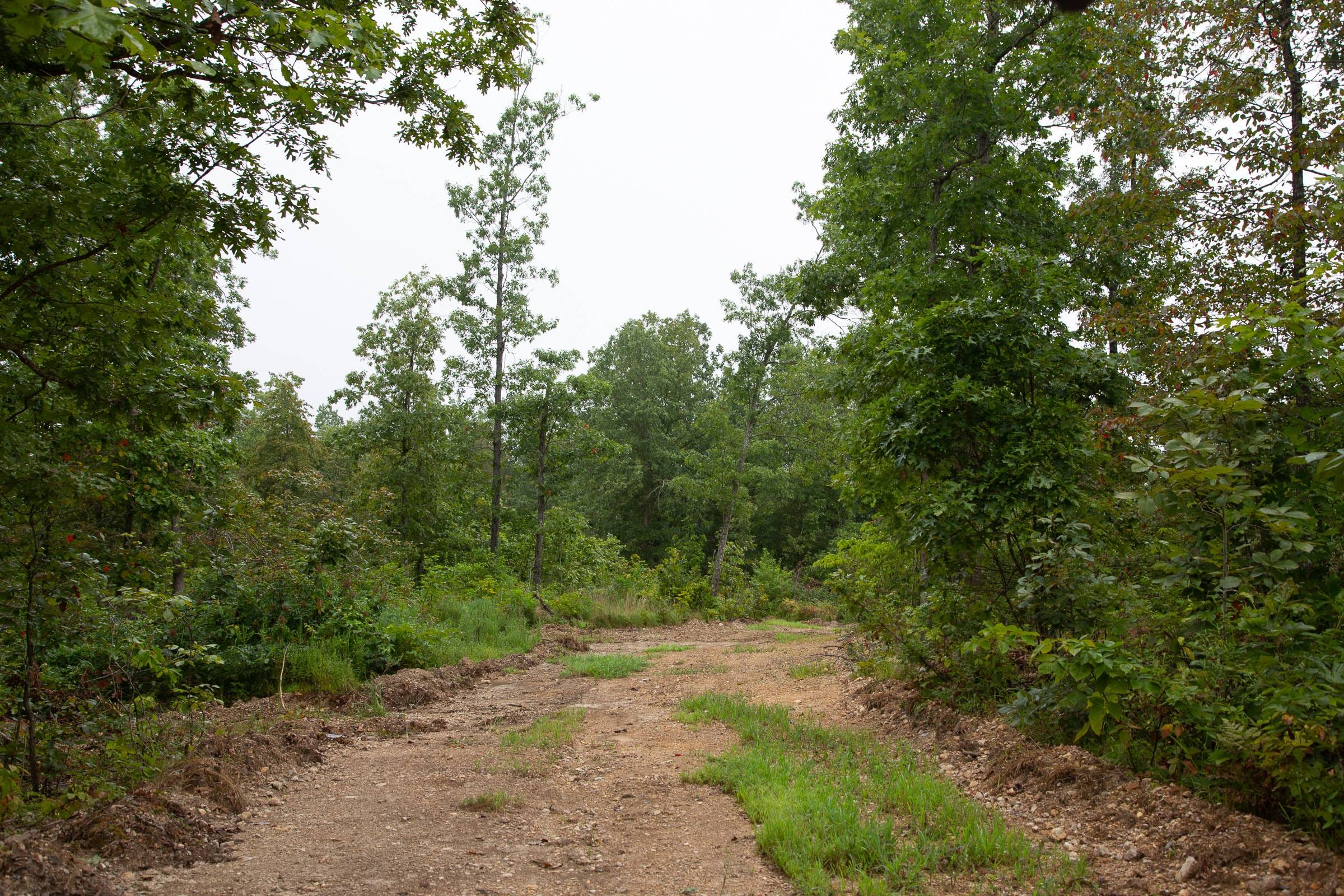 Borgmann’s Hollow Phase II Tract 37 photo 13