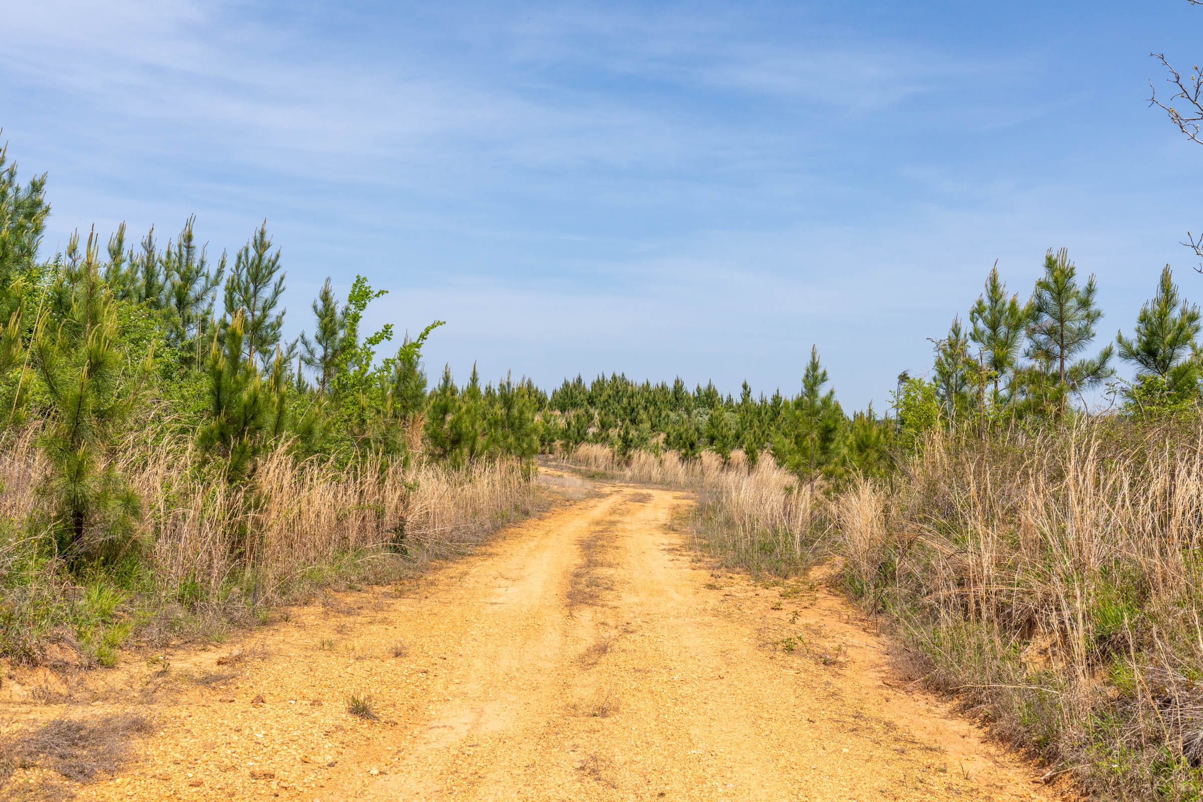 Clear Wood Tract 41 photo 1