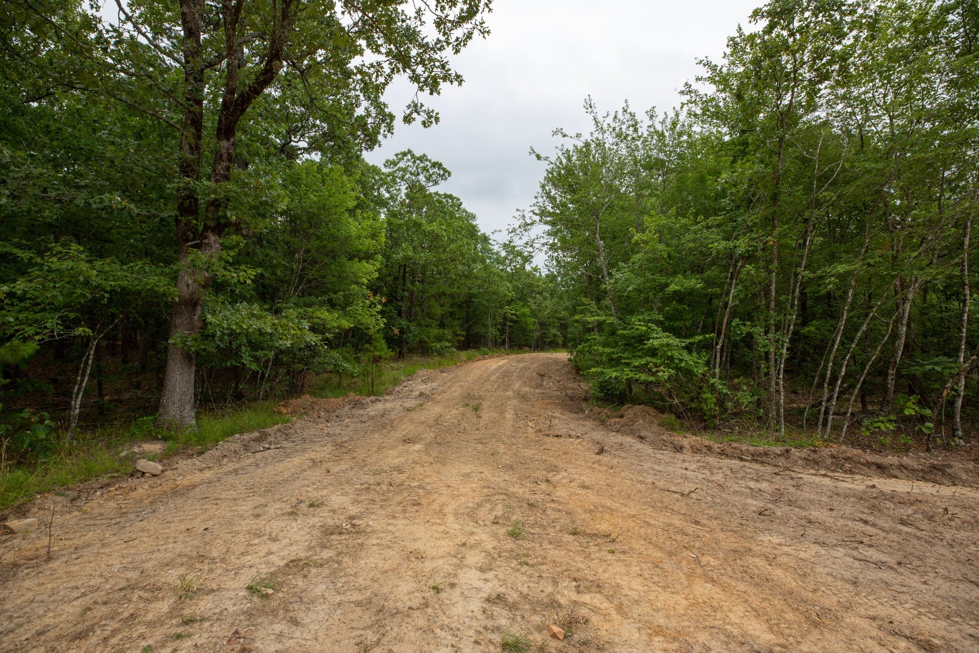 Eagle’s Nest Tract 54 photo 5