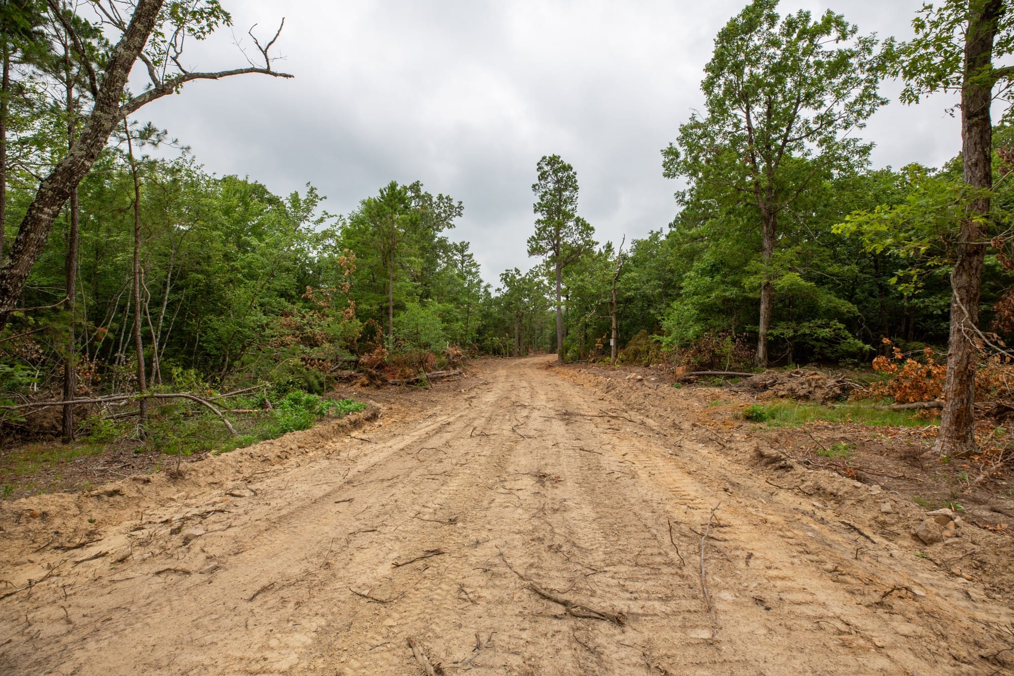 Eagle’s Nest Tract 54 photo 10
