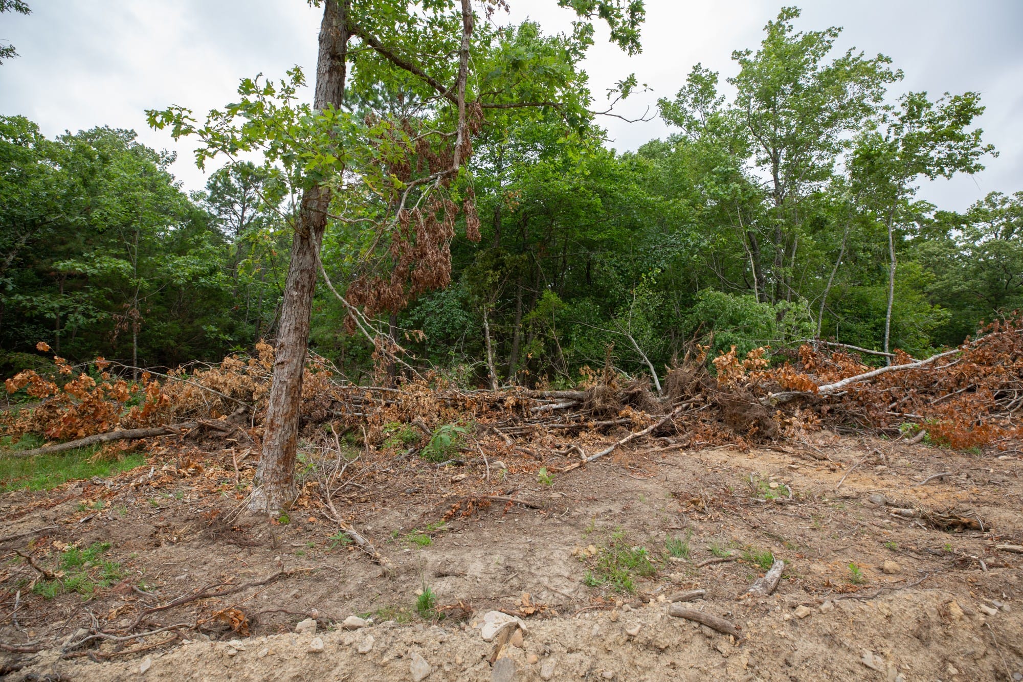 Eagle’s Nest Tract 54 photo 2