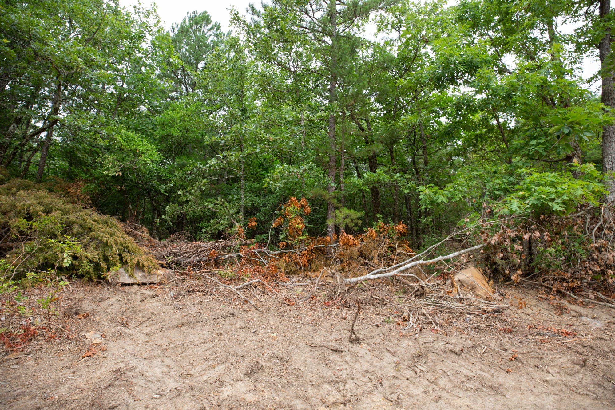 Eagle’s Nest Tract 54 photo 3