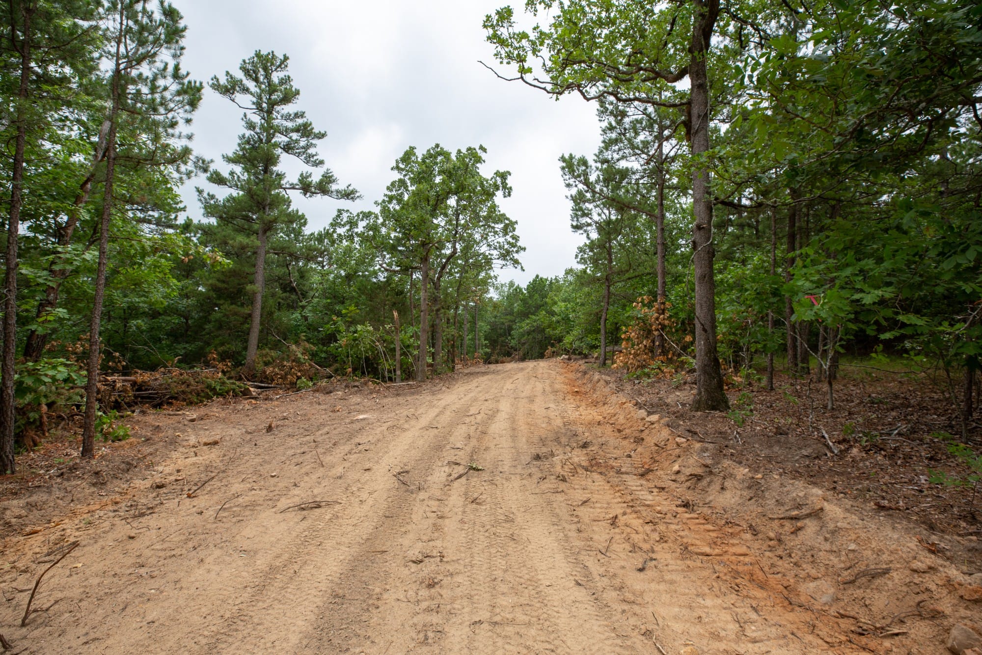 Eagle’s Nest Tract 54 photo 1