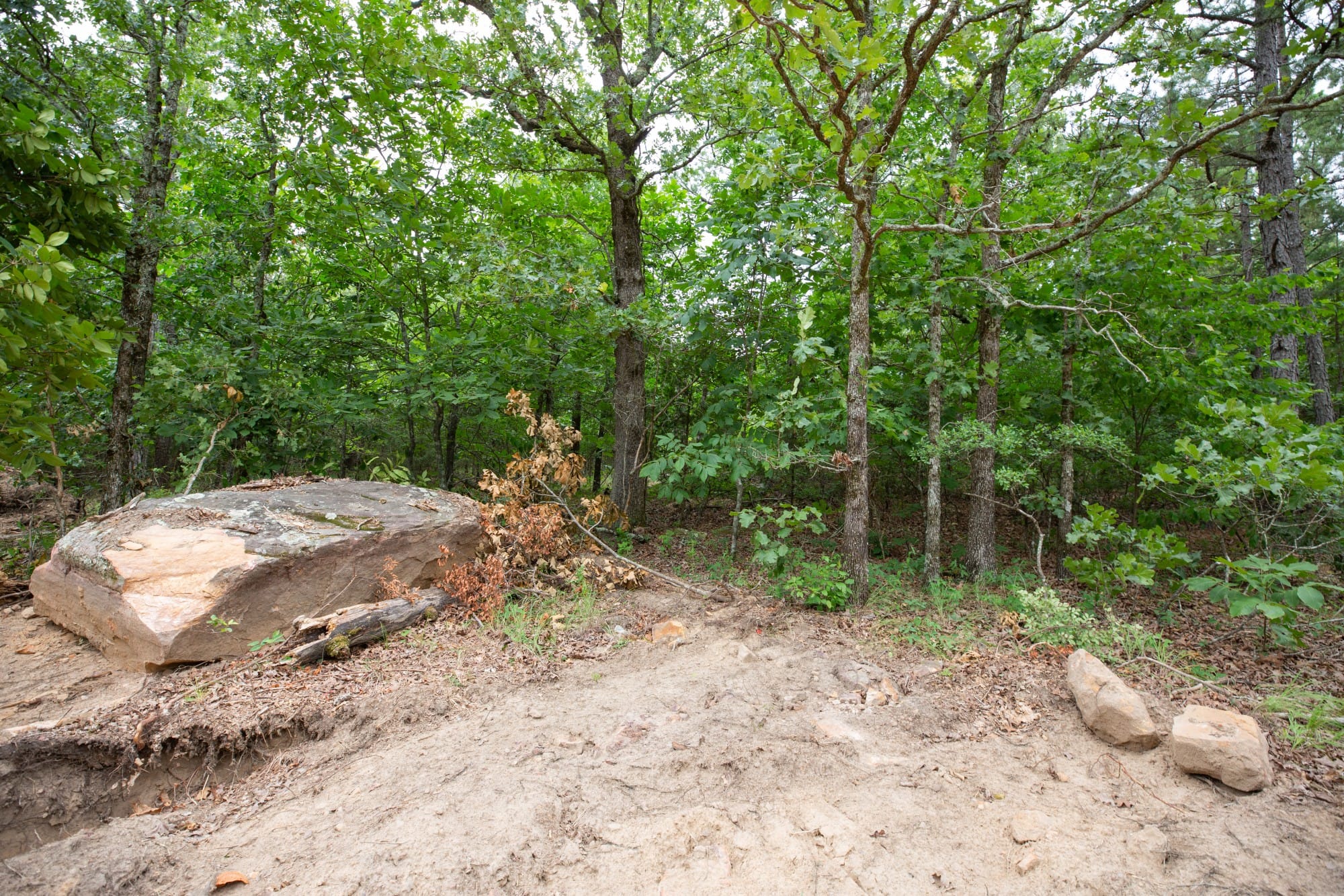 Eagle’s Nest Tract 54 photo 8