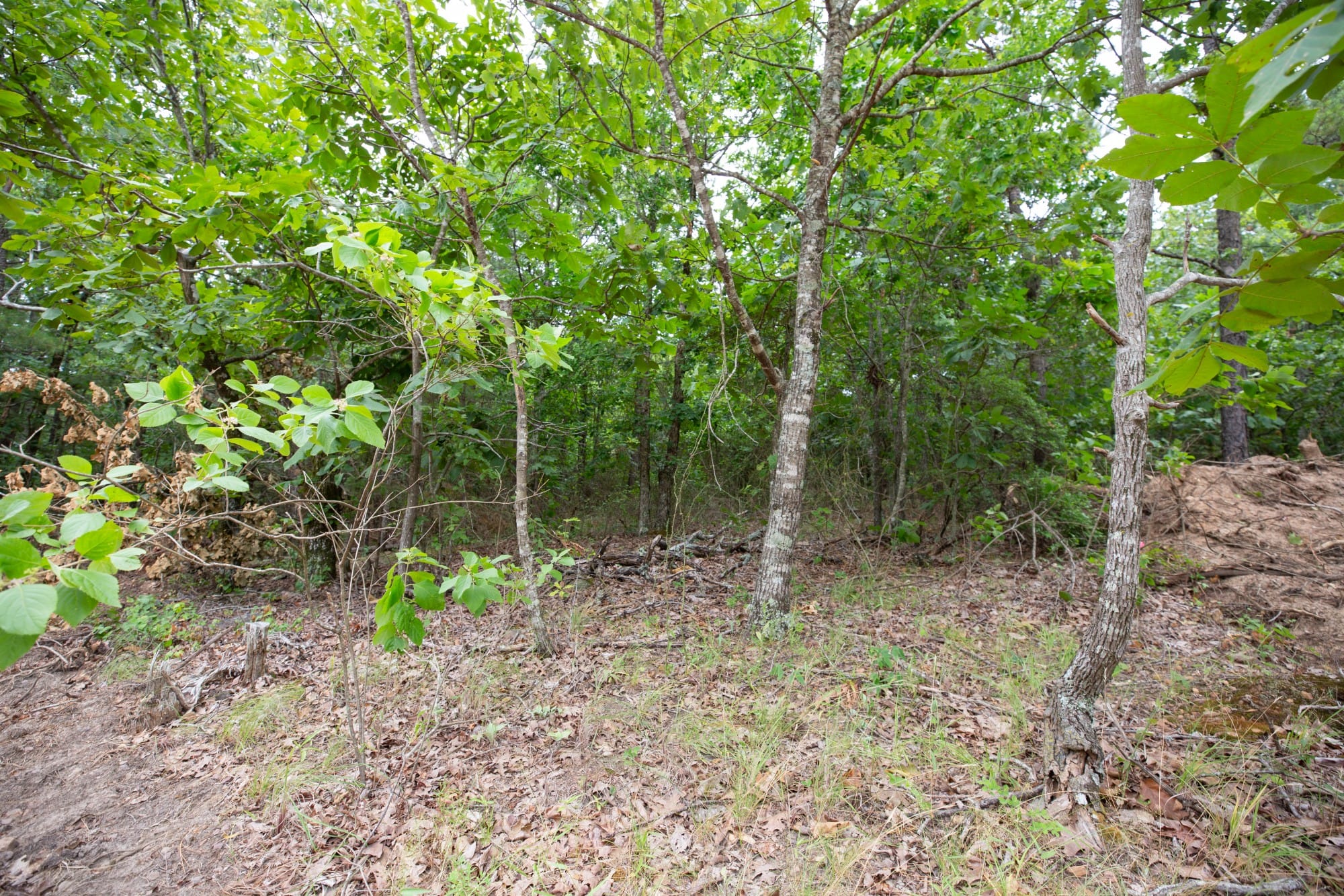 Eagle’s Nest Tract 54 photo 9