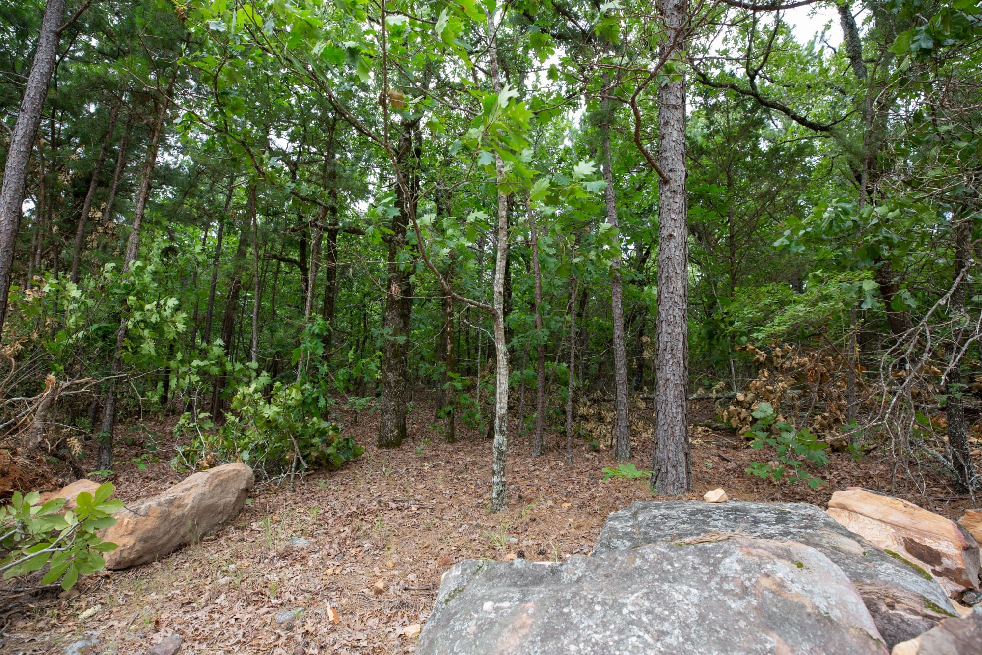 Eagle’s Nest Tract 54 photo 12