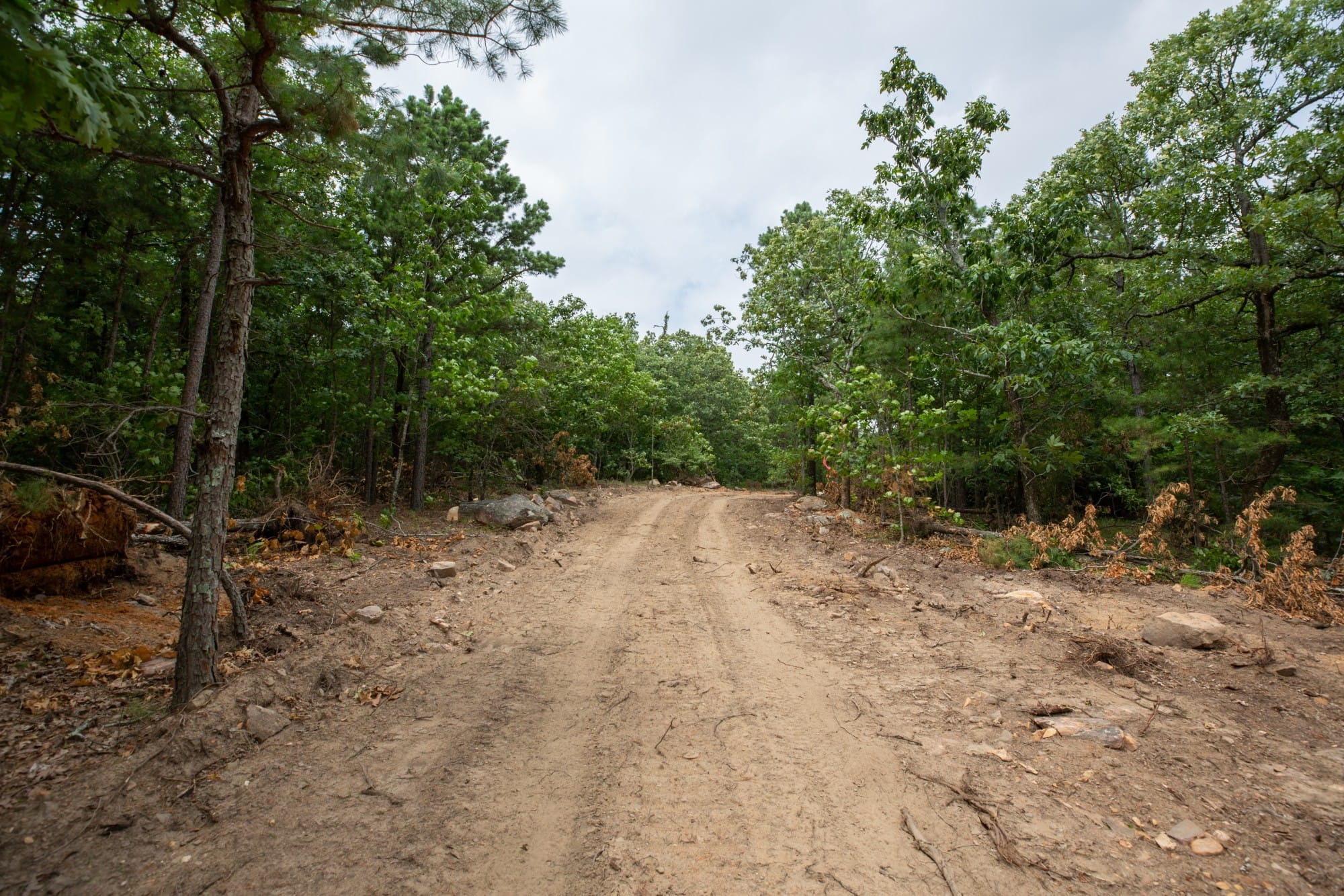 Eagle’s Nest Tract 54 photo 15