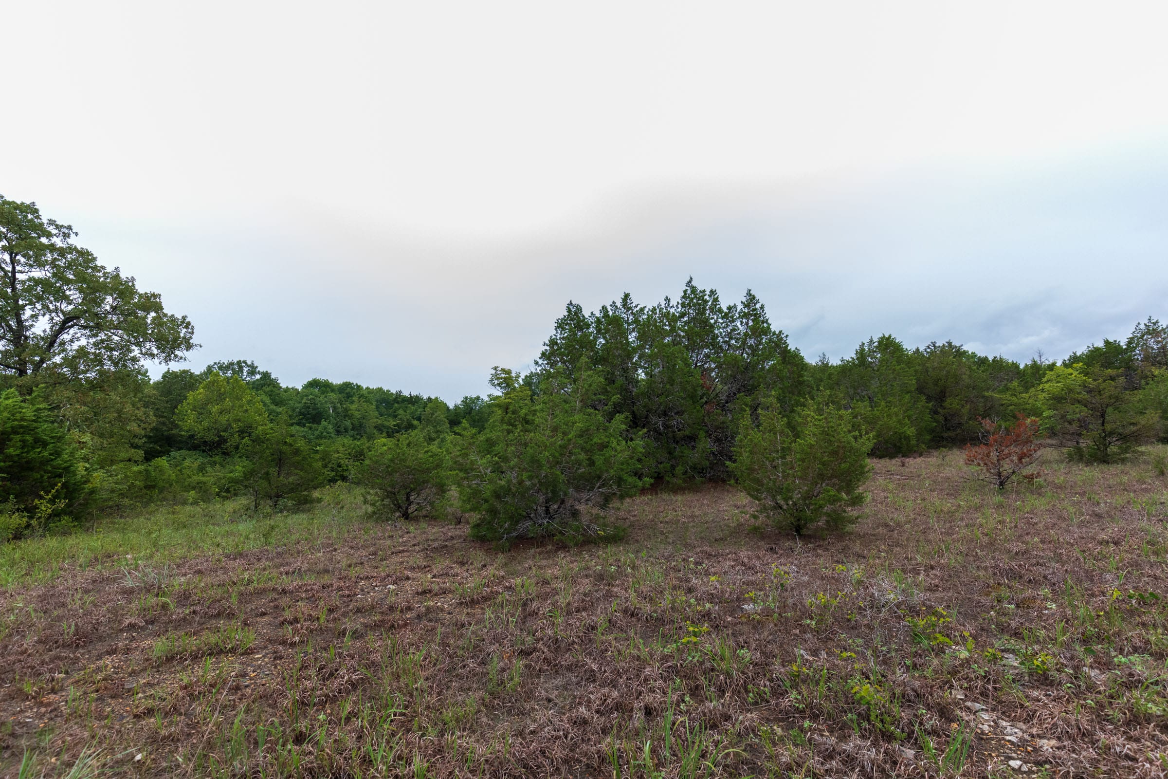 Heritage Bend Tract 43 photo 2