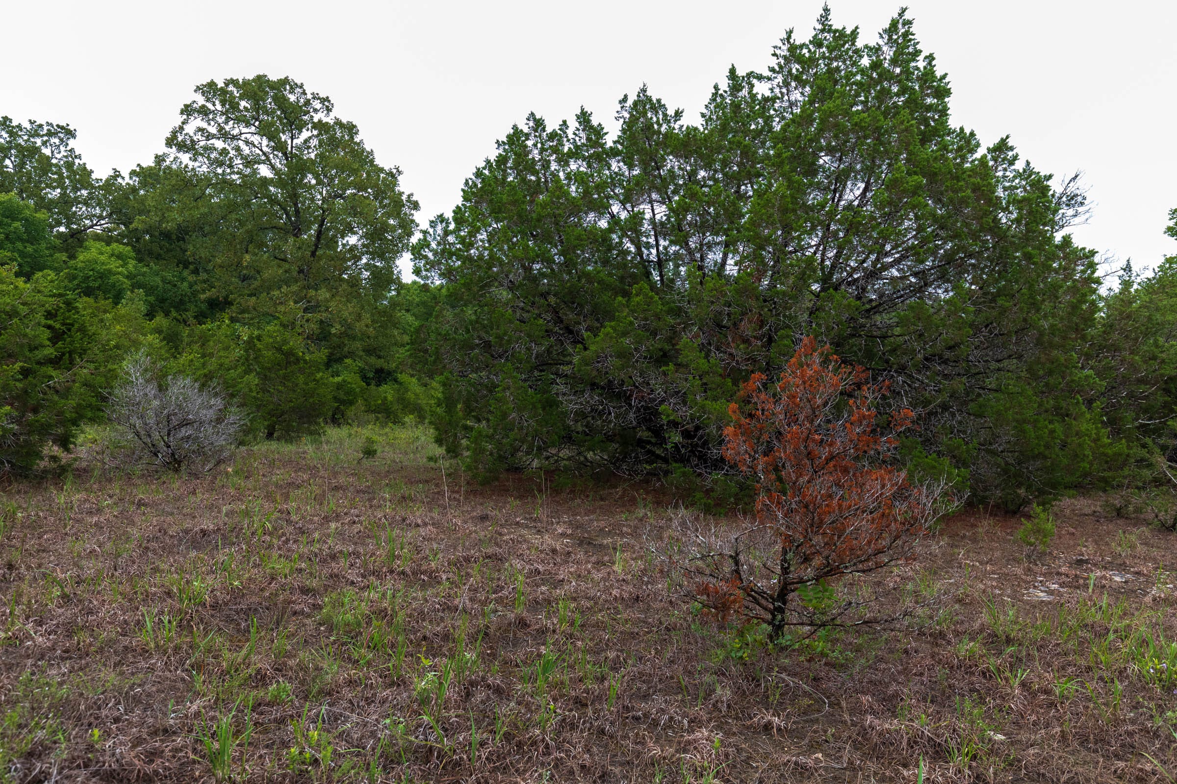 Heritage Bend Tract 43 photo 3