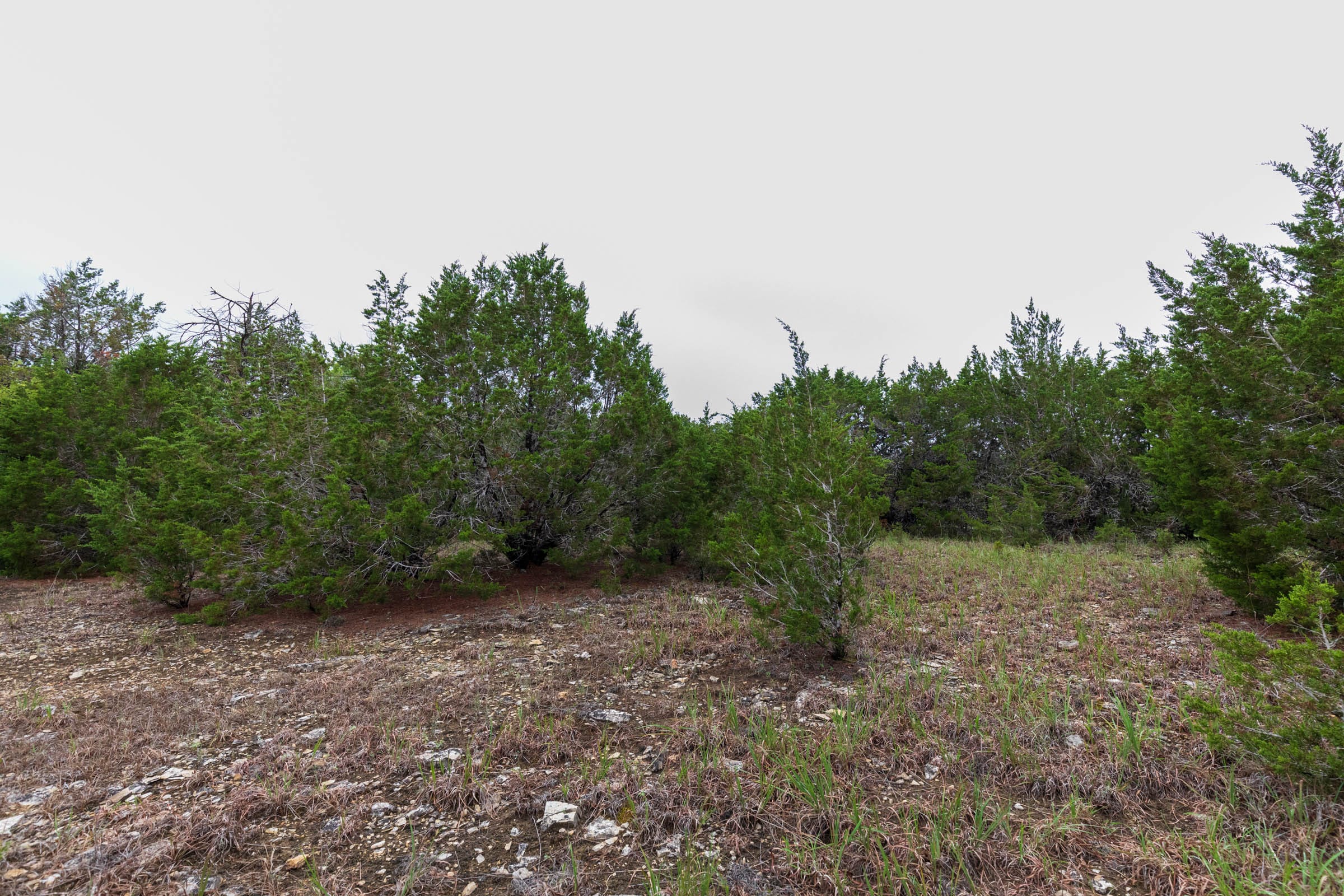Heritage Bend Tract 43 photo 4