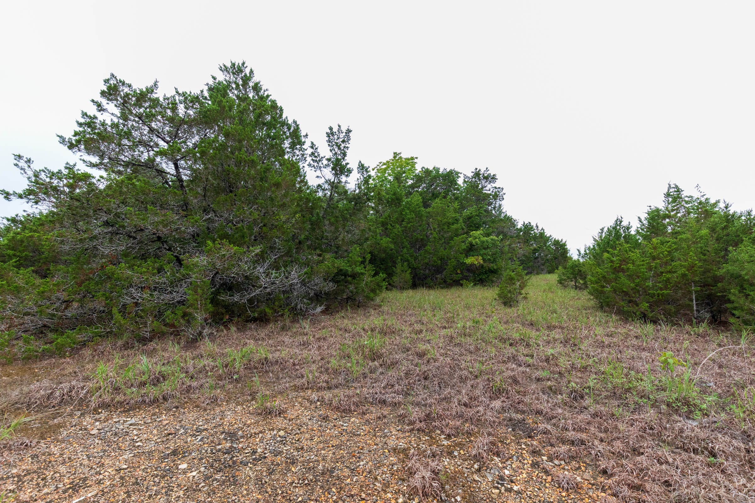 Heritage Bend Tract 43 photo 6