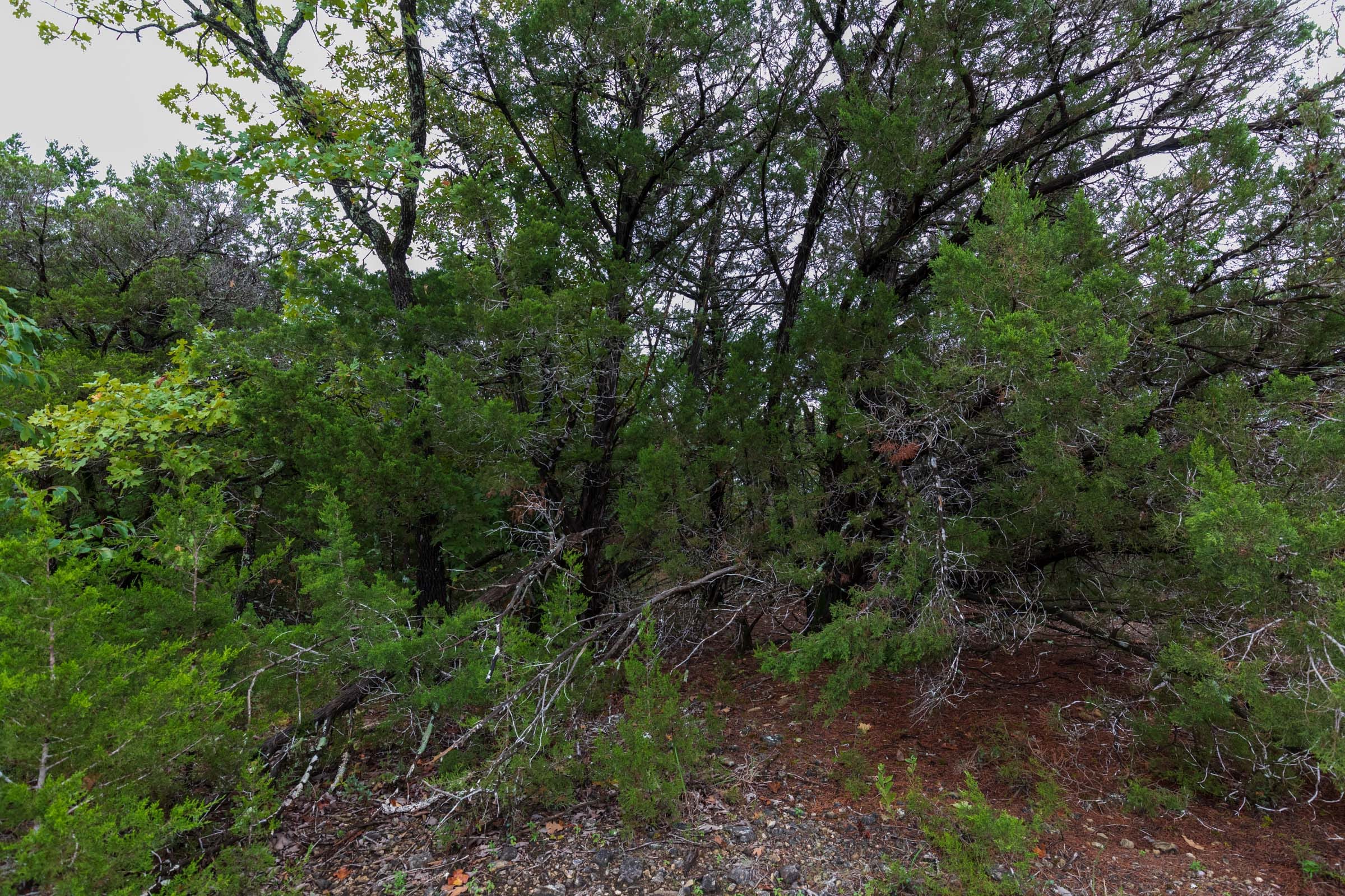 Heritage Bend Tract 43 photo 9
