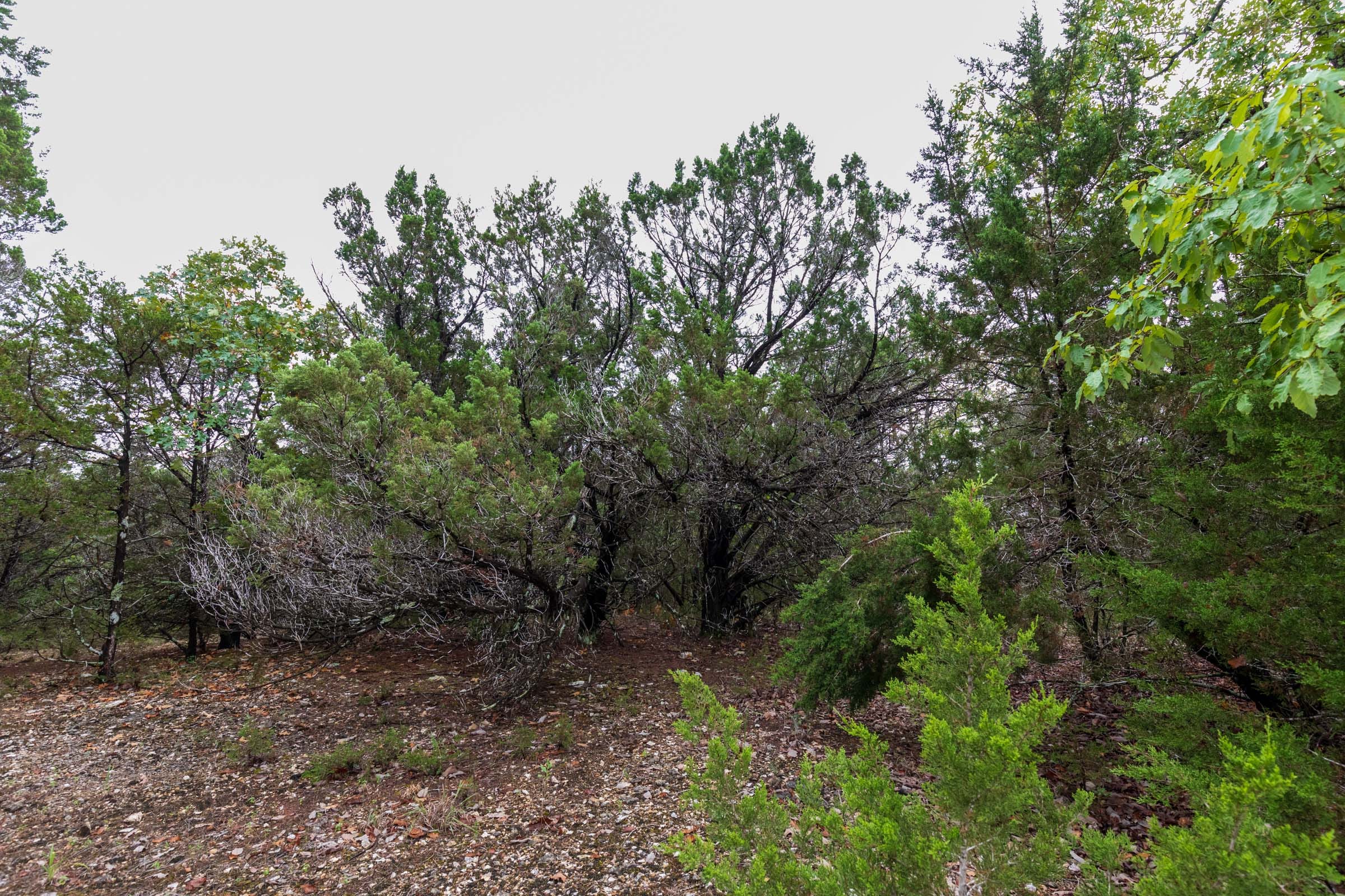 Heritage Bend Tract 43 photo 10