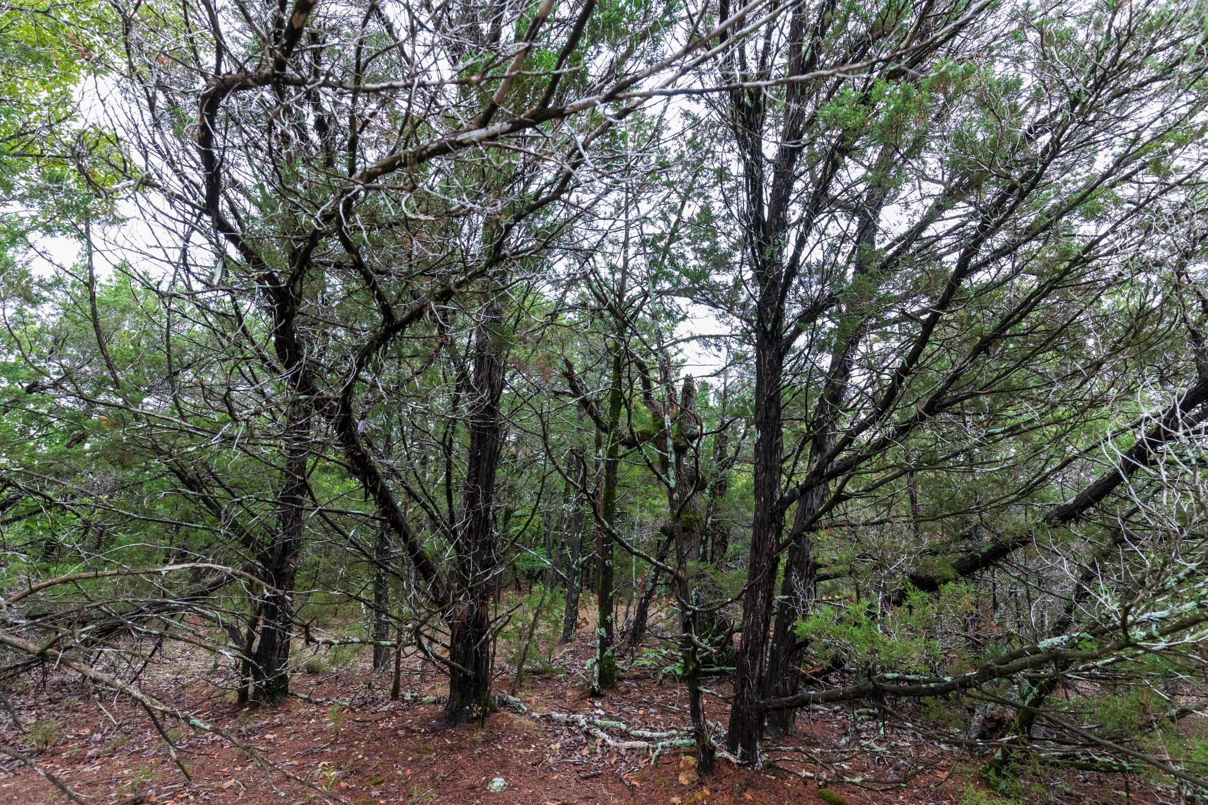 Heritage Bend Tract 43 photo 11